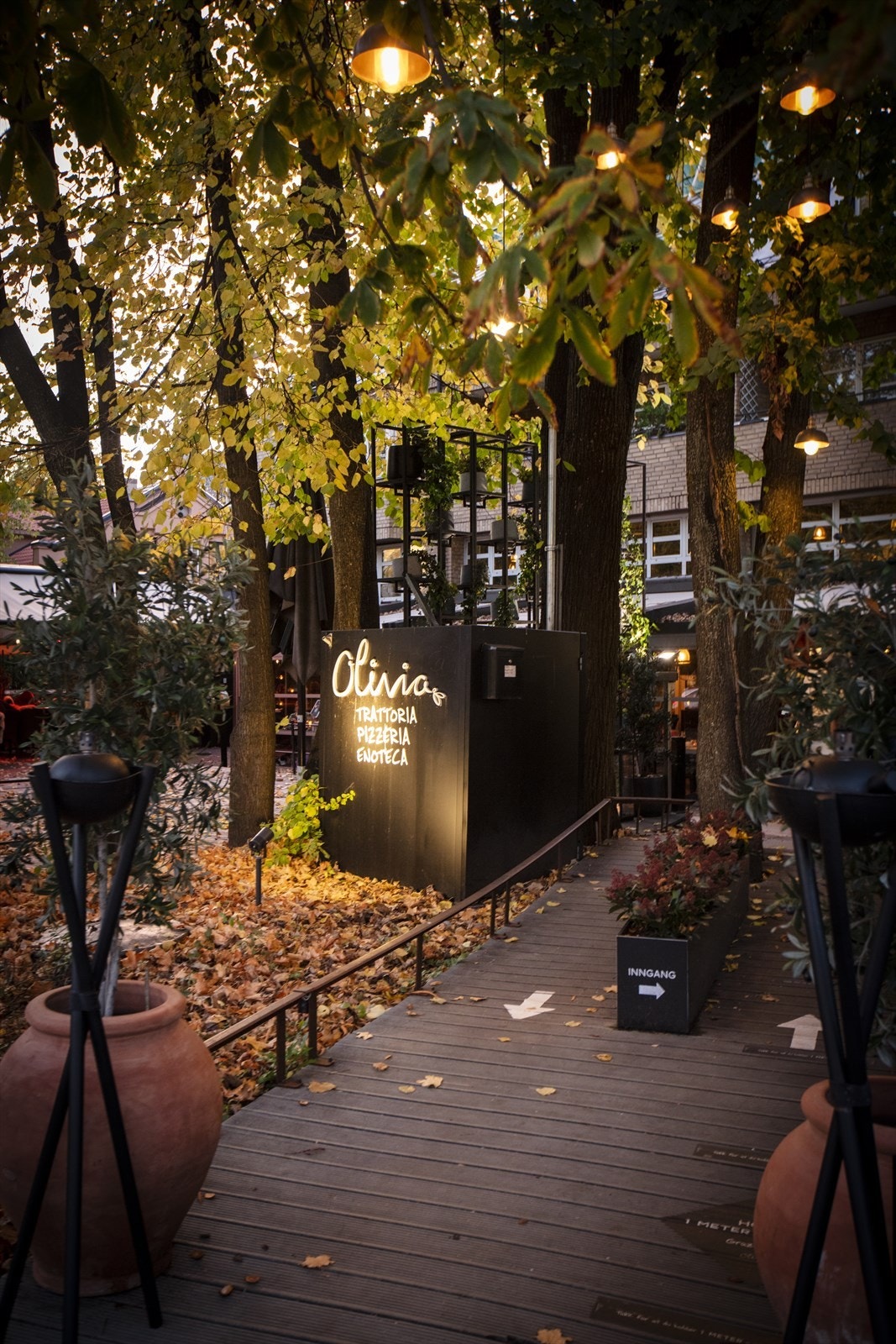 Områdebilde. Galleribilde