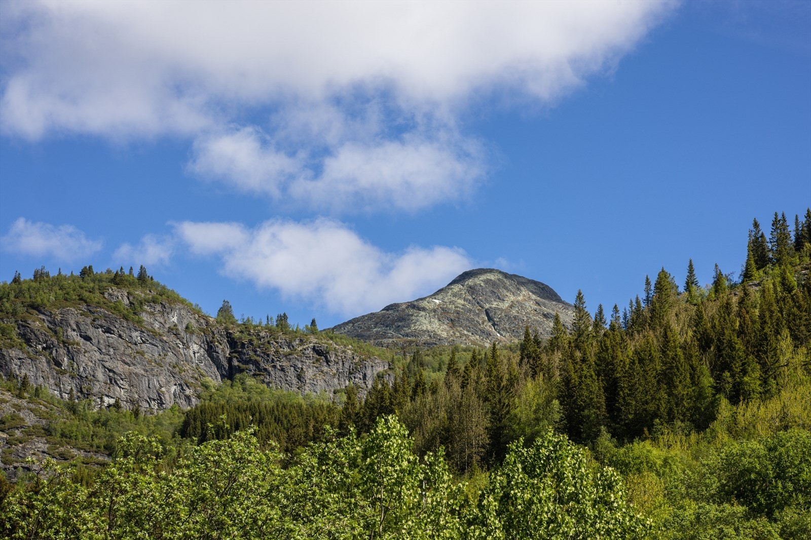 Utsikt mot Kyrkjebønose. Galleribilde