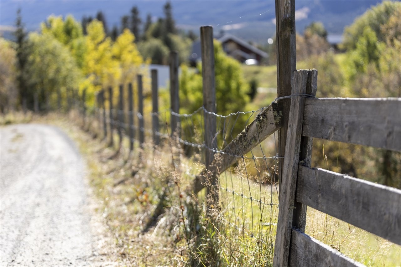 Boligtomtene ligger i landlige og idylliske omgivelser. Galleribilde