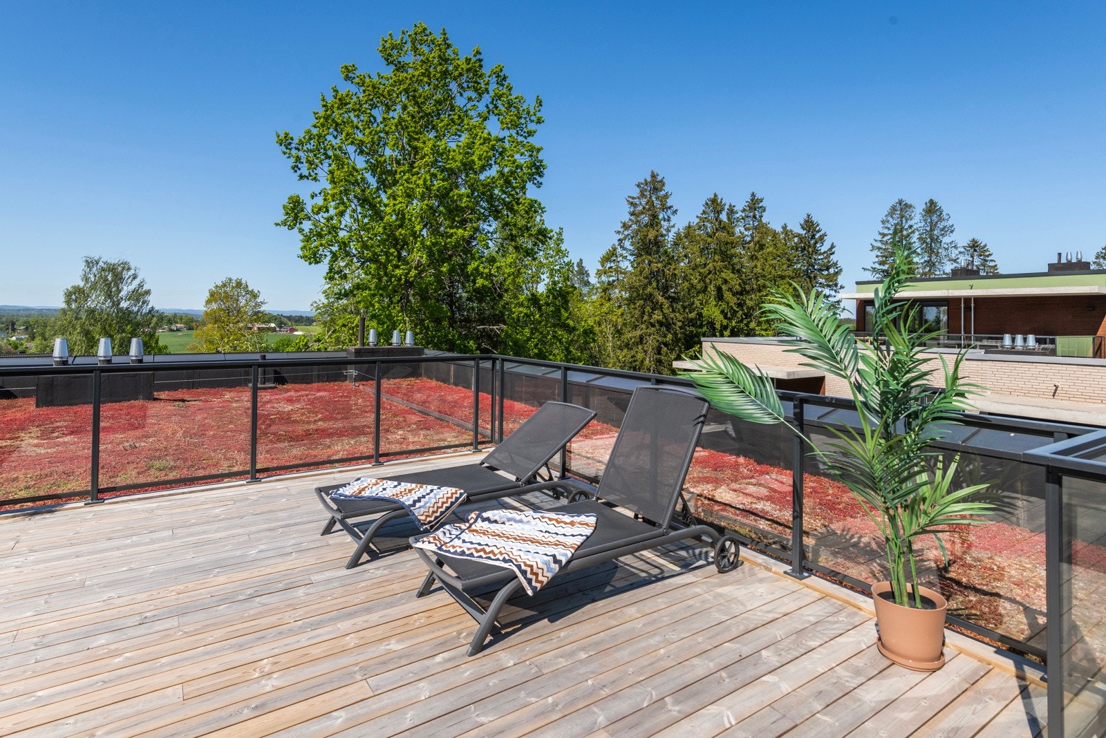 Herlig terrasse og nydelig utsyn som nytes hele året! Galleribilde