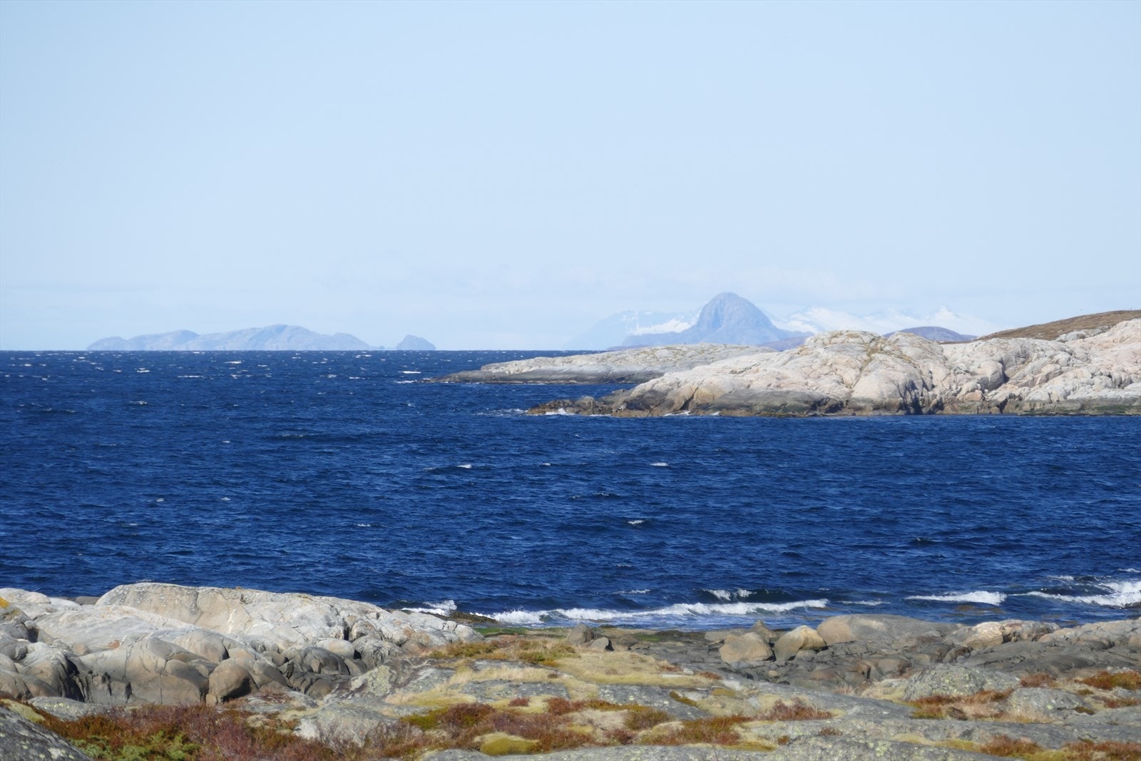 Bilde fra nærområdet Galleribilde