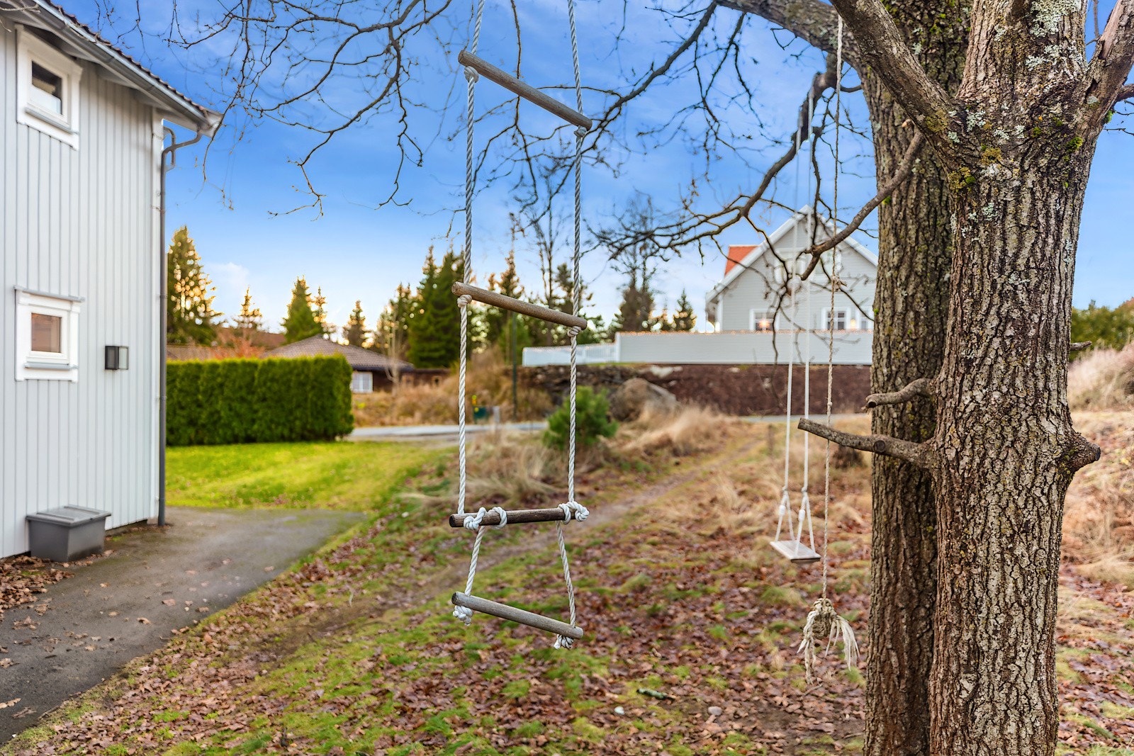 Uteområde. Galleribilde