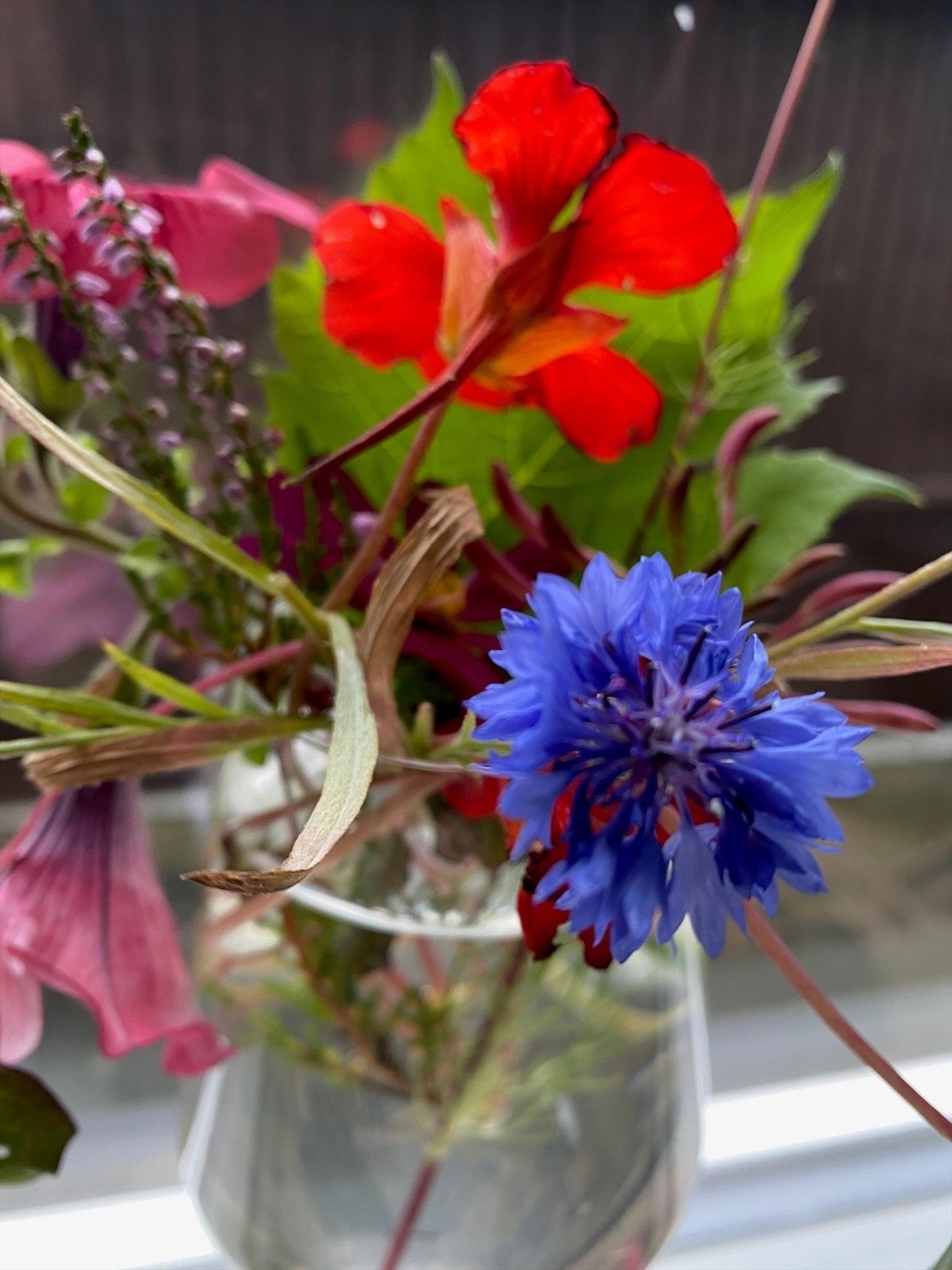 Privat bilde Galleribilde