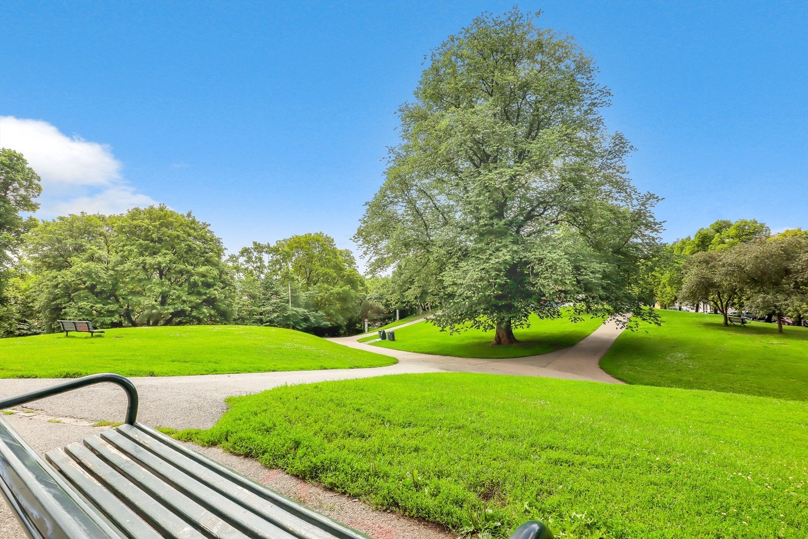 Stensparken er en langstrakt høyde på Fagerborg mellom Pilestredet, Fagerborggata og Sporveisgata. Galleribilde