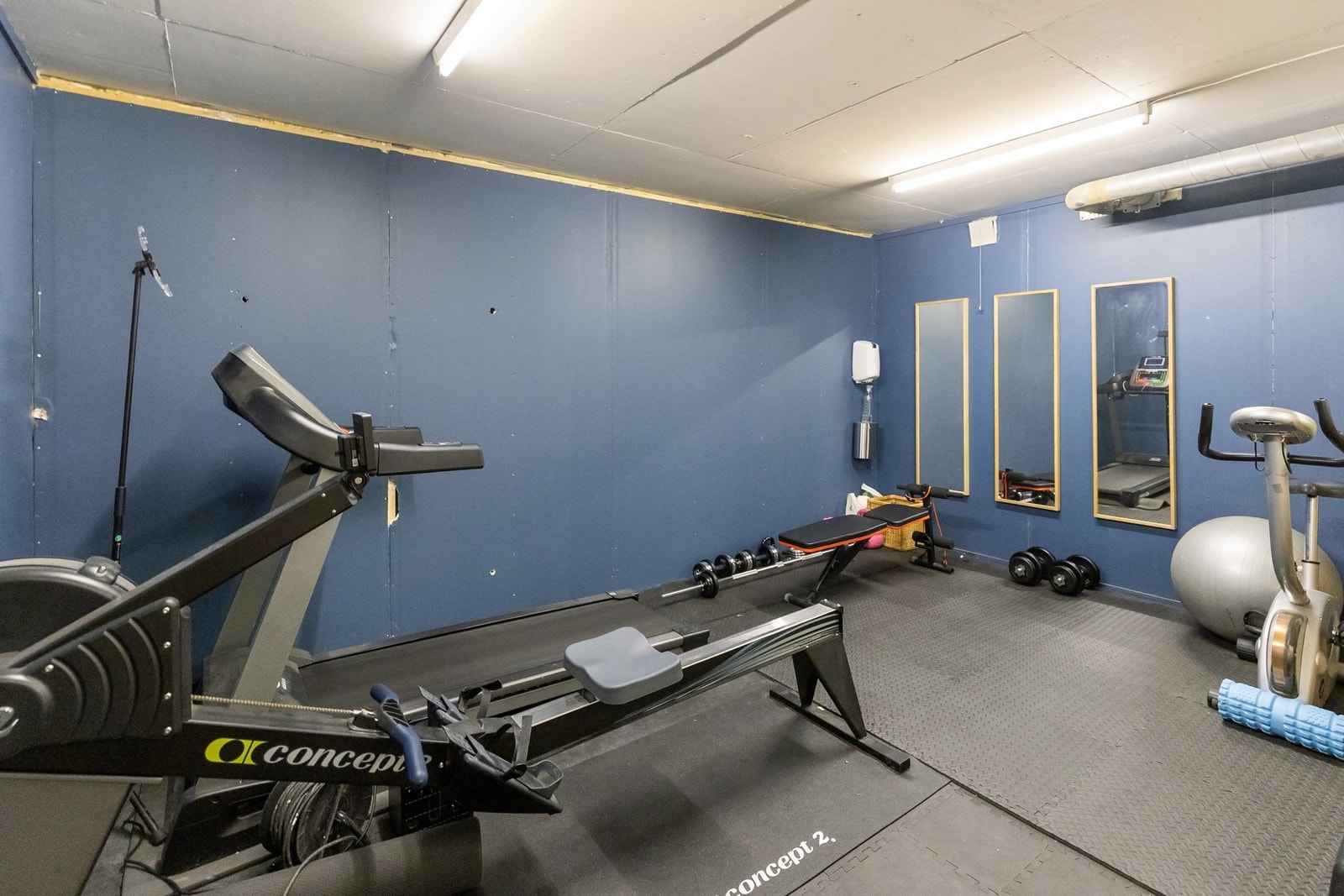Felles treningsrom med bl.a. tredemølle, romaskin mm. Galleribilde