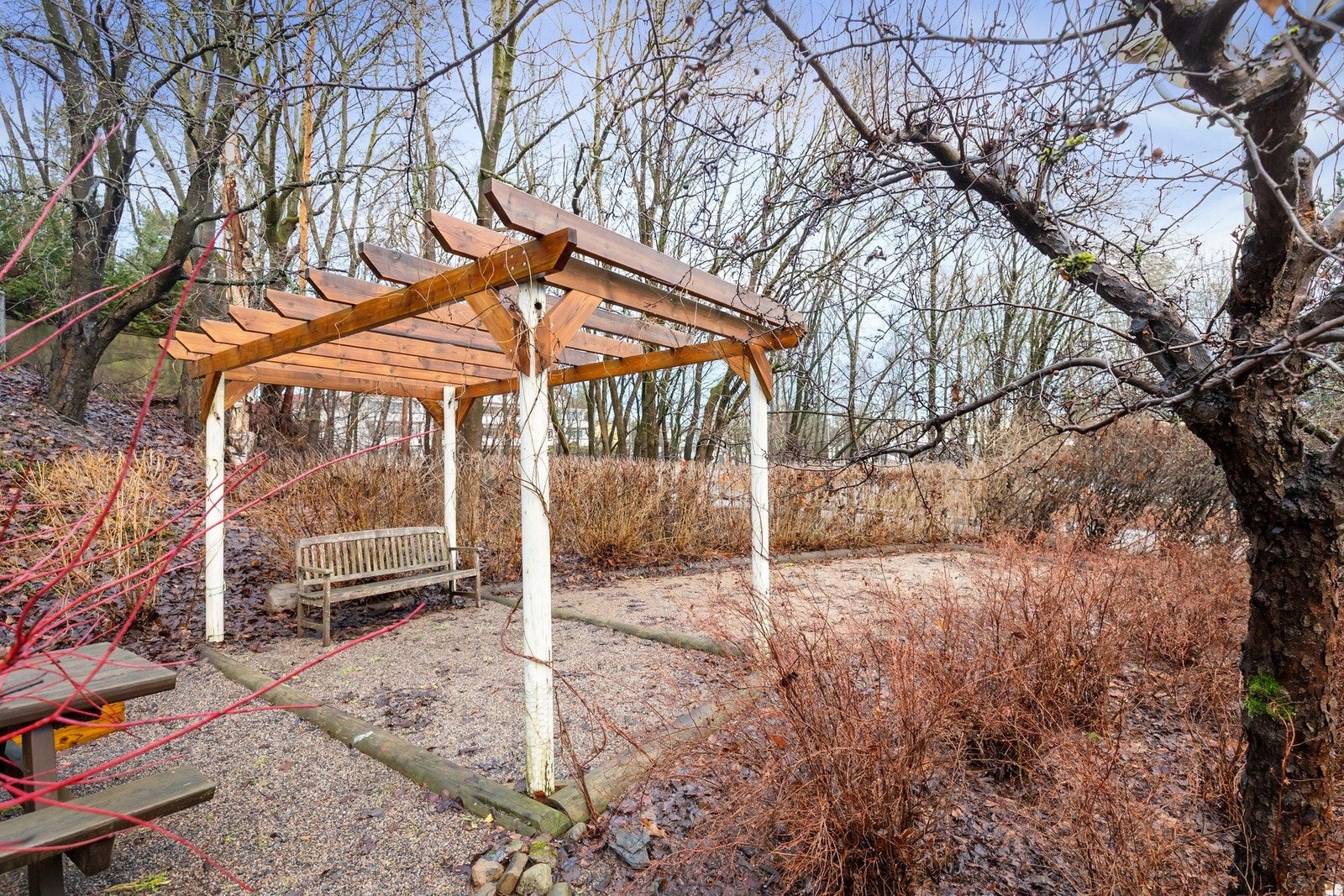 Det er satt opp pergola med boccia bane til glede for store og små. Galleribilde