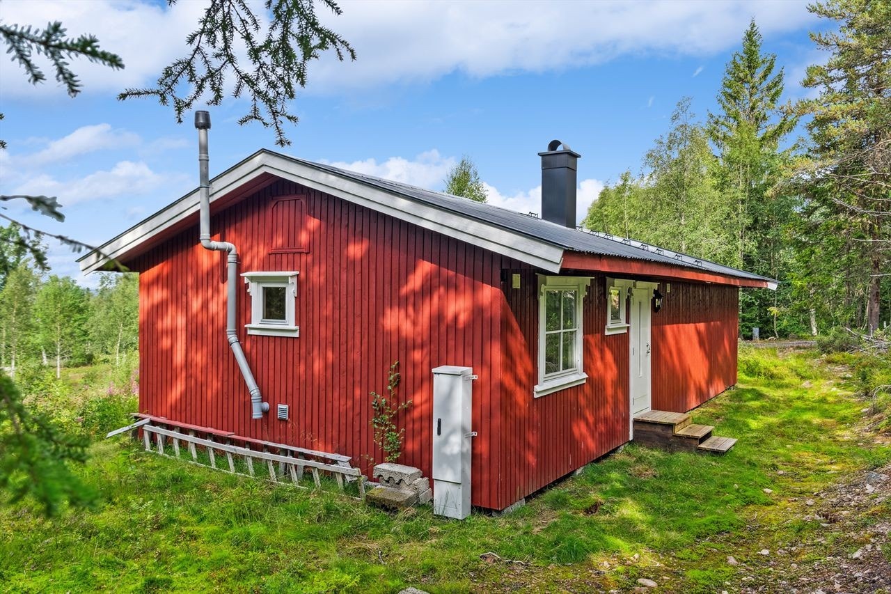 Fasade av hytta med inngangsparti, og strøminntak. Galleribilde