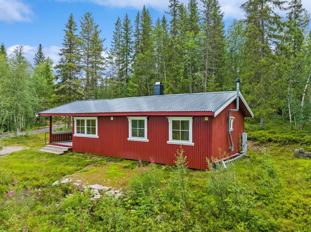 Velkommen til Skjærhollvegen 133! Galleribilde