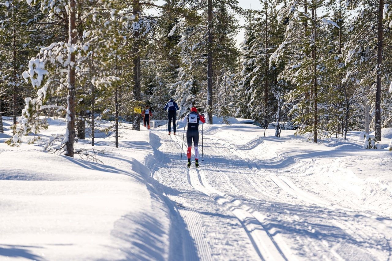 Fra Trysil Skimaraton. Foto: Jonas Sjøgren. Galleribilde