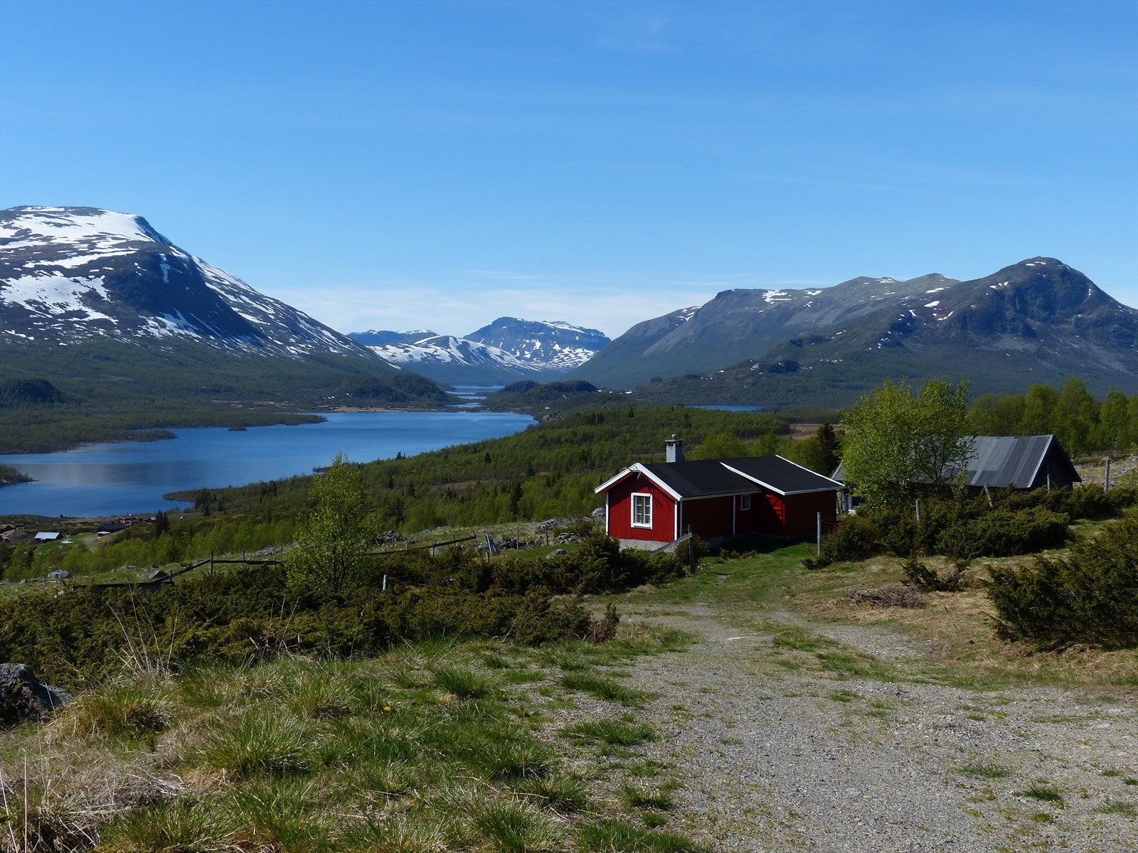 Nord-Europas største aktive stølslag finner du i Valdres, nærmere bestemt på fjellet mellom Tisleidalen og Vaset. Galleribilde