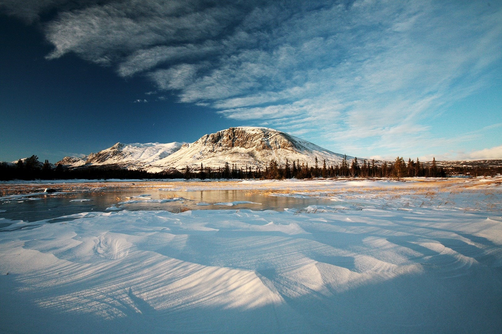 Skogshorn som er et yndet turmål sommer som vinter, ligger ca. 35 minutter fra Brattstølen. Galleribilde