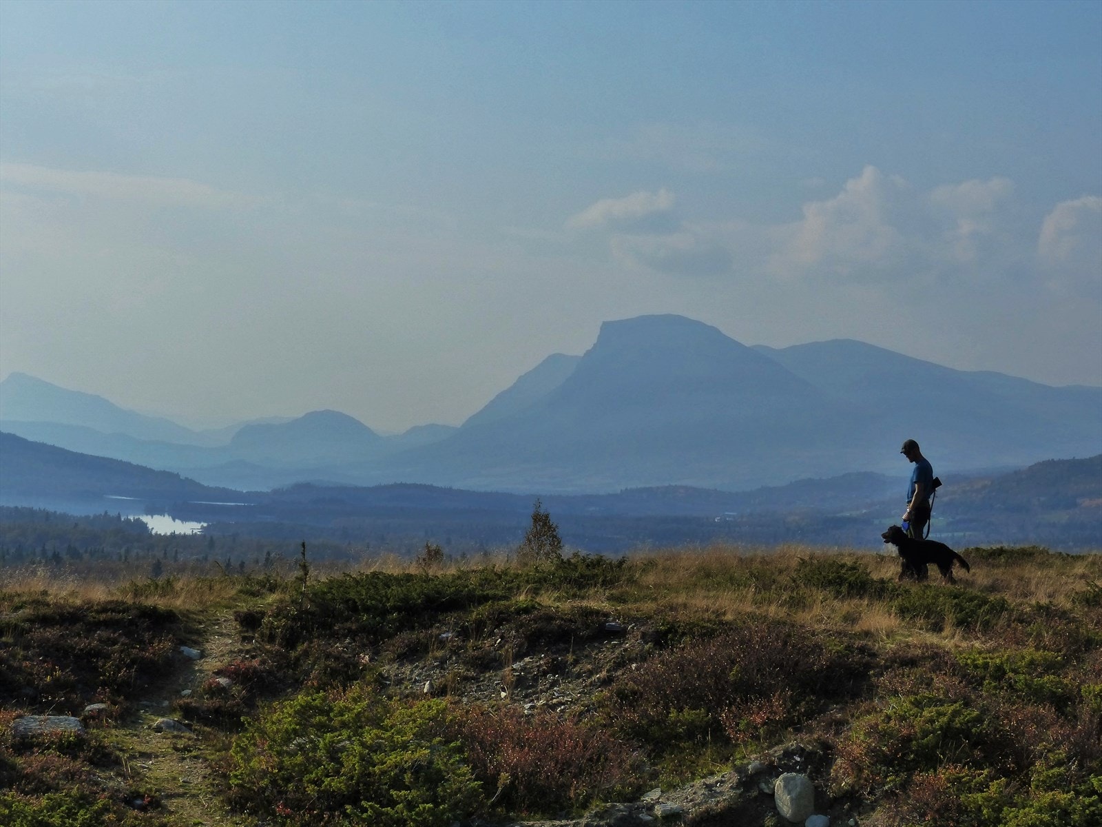 Brattstølen ligger i et åpent terreng med mange turmuligheter i nærområdet. Gribbe og Makalaus (1099 moh) er to eksempler på familievennlige fotturer men en storslått utsikt til store deler av Valdres og Jotunheimen. Galleribilde