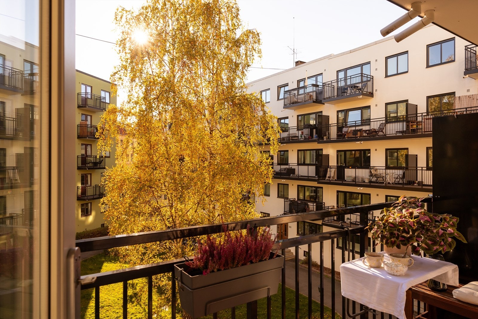 Velkommen til Sannergata 5B! Foto: Tina Cicilie Gogstad Galleribilde