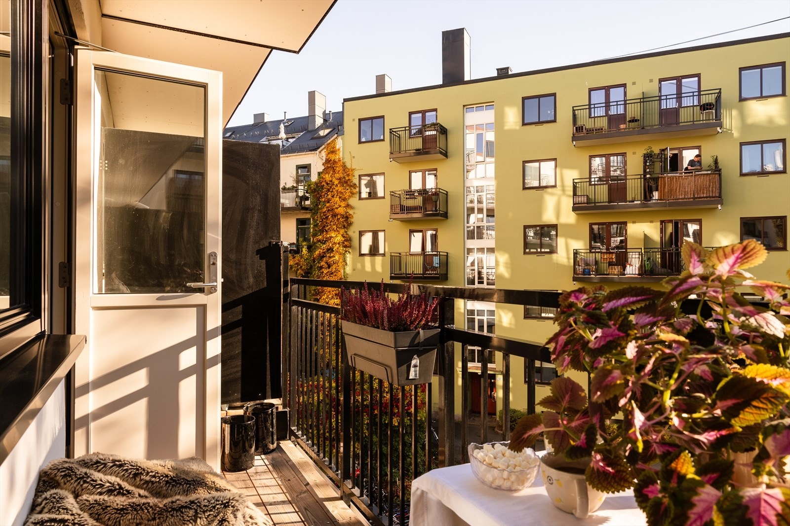 Her er det også gode grillmuligheter, da det er tillatt å grille med gass- eller elektrisk grill. Galleribilde