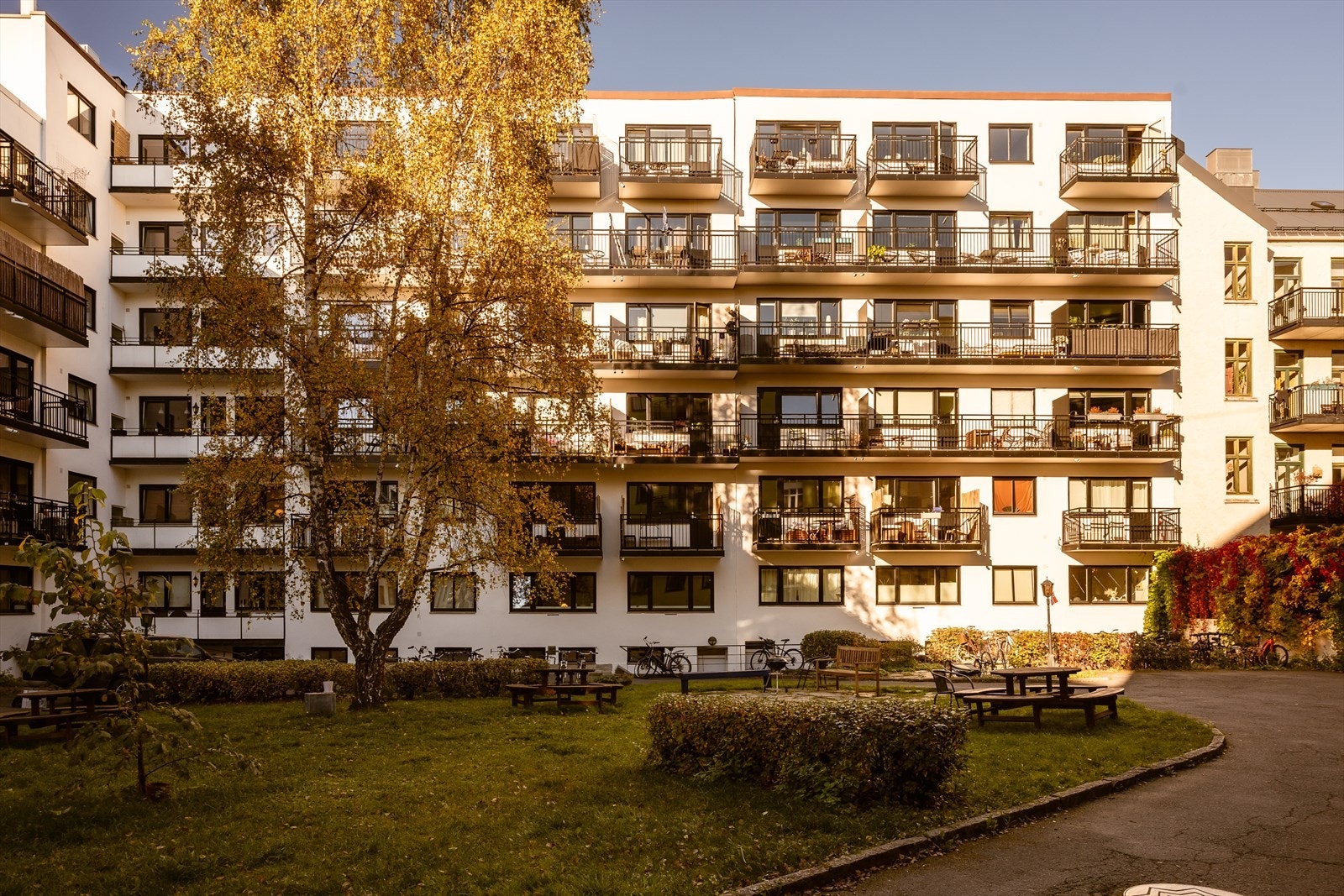 En fantastisk bakgård med benker, busker og trær for hyggelige sommerdager. Galleribilde