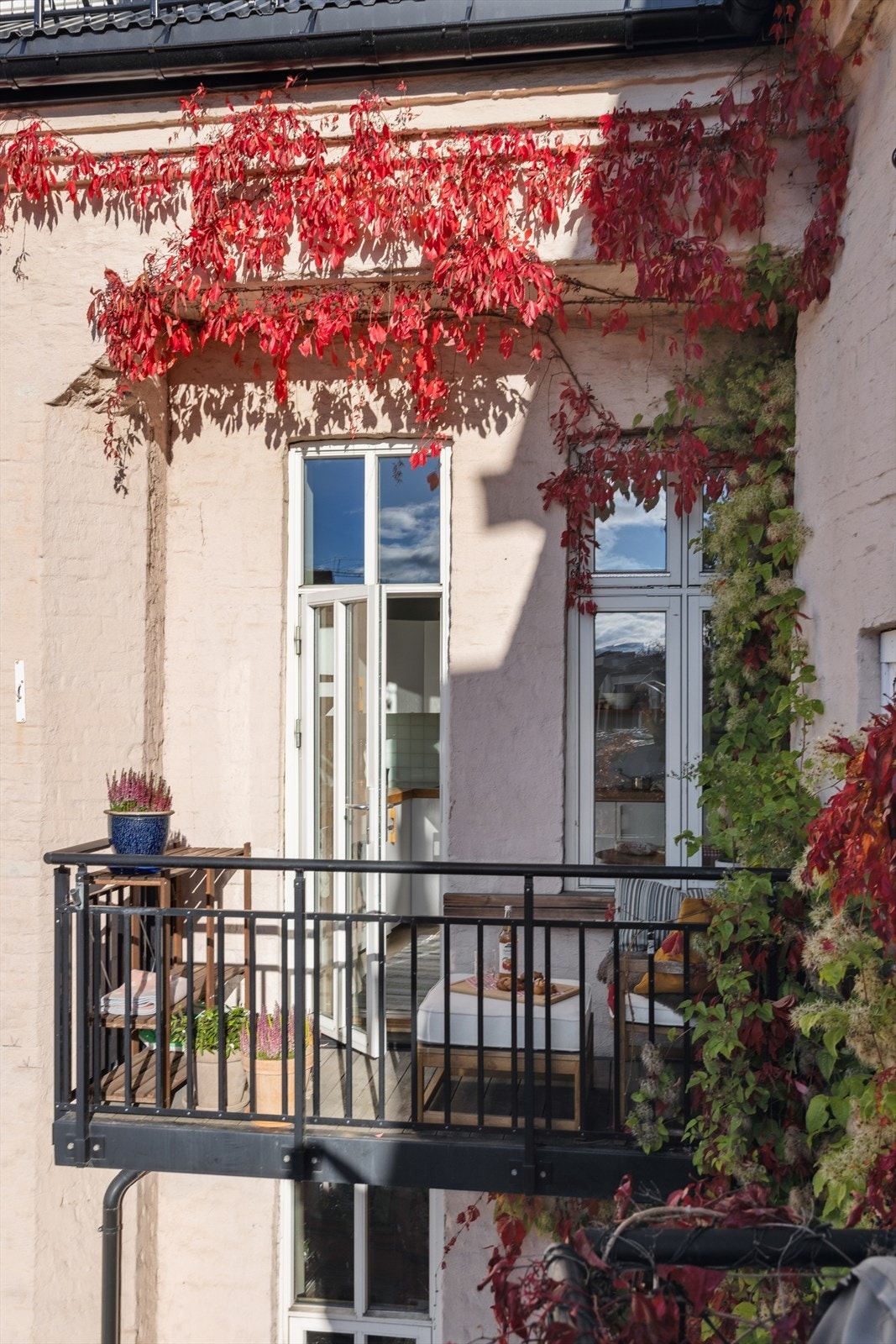 Balkongbildene er tatt i høst for å vise den vakre klatreplanten som vokser fritt på fasaden. Galleribilde