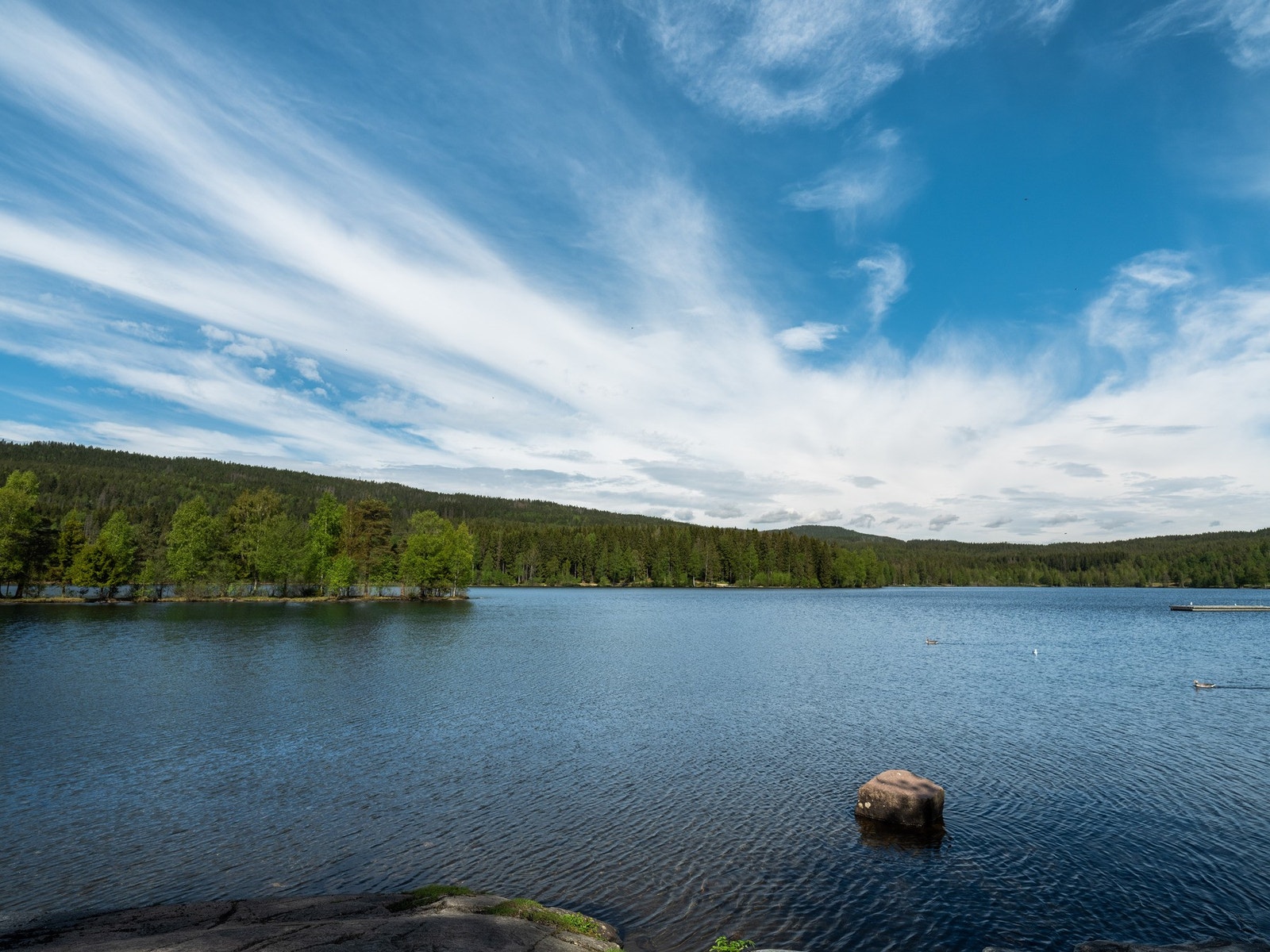 Sognsvann byr på herlige tur- og rekreasjonsmuligheter. Galleribilde