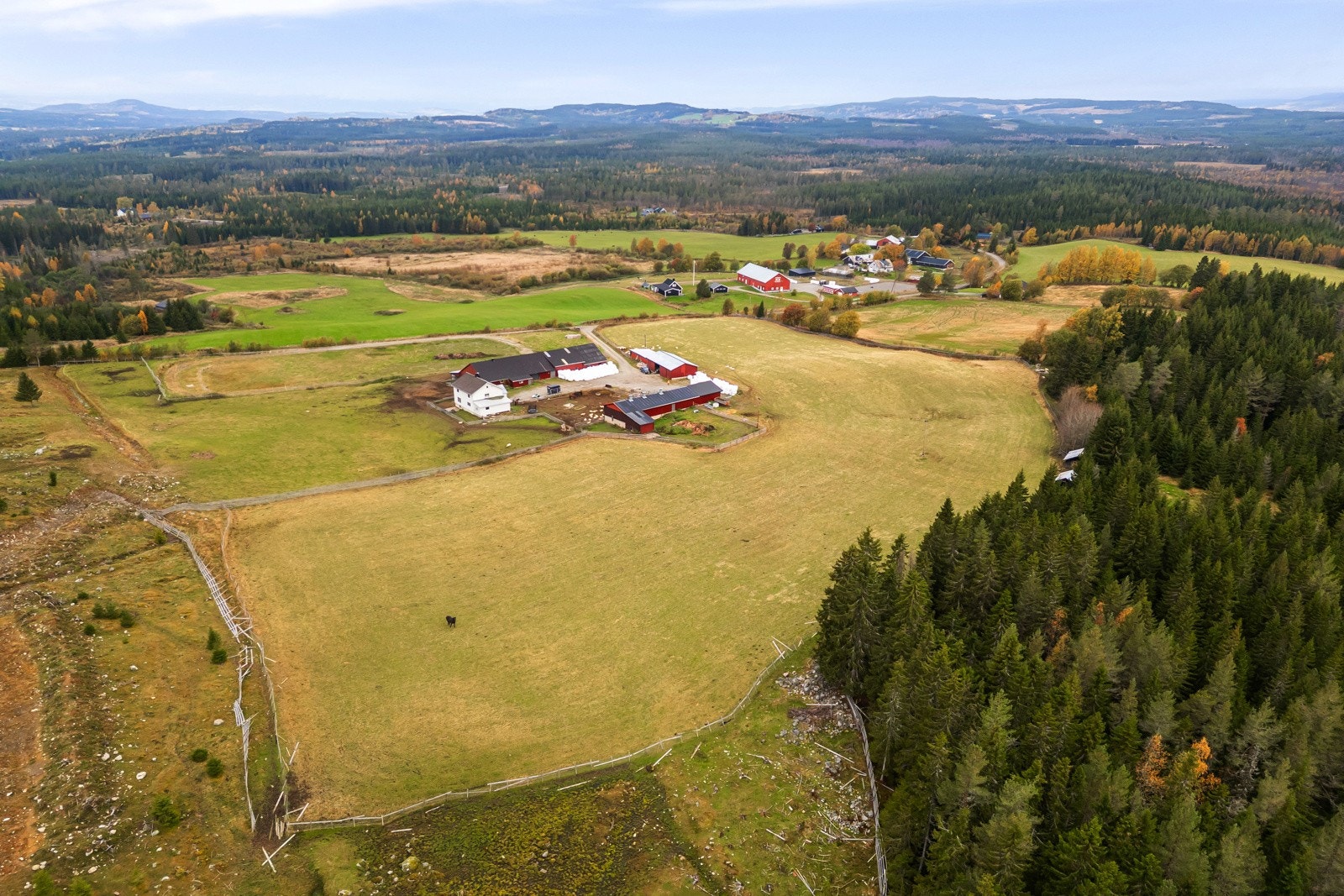 DJI_0303 Galleribilde