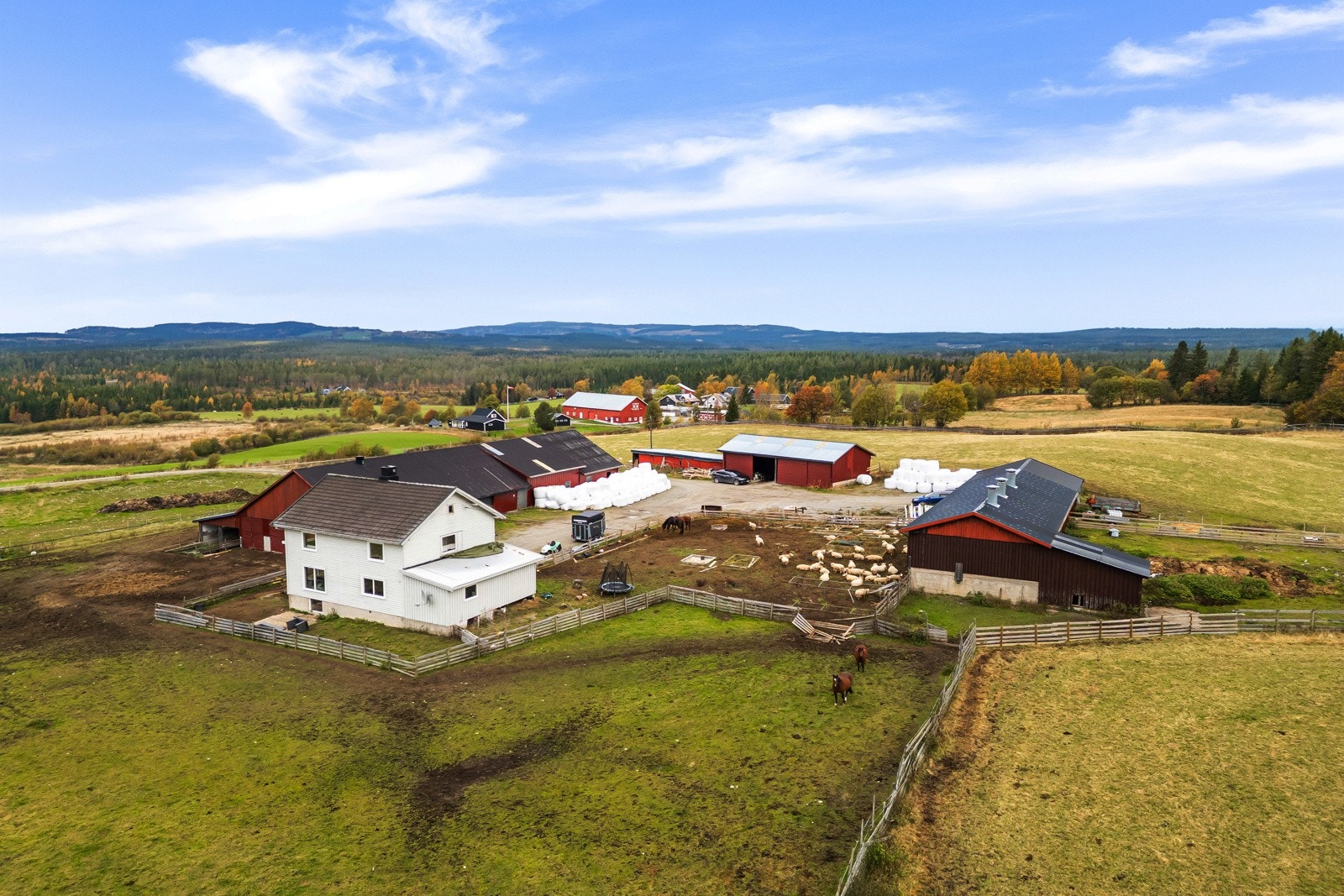 DJI_0315 Galleribilde