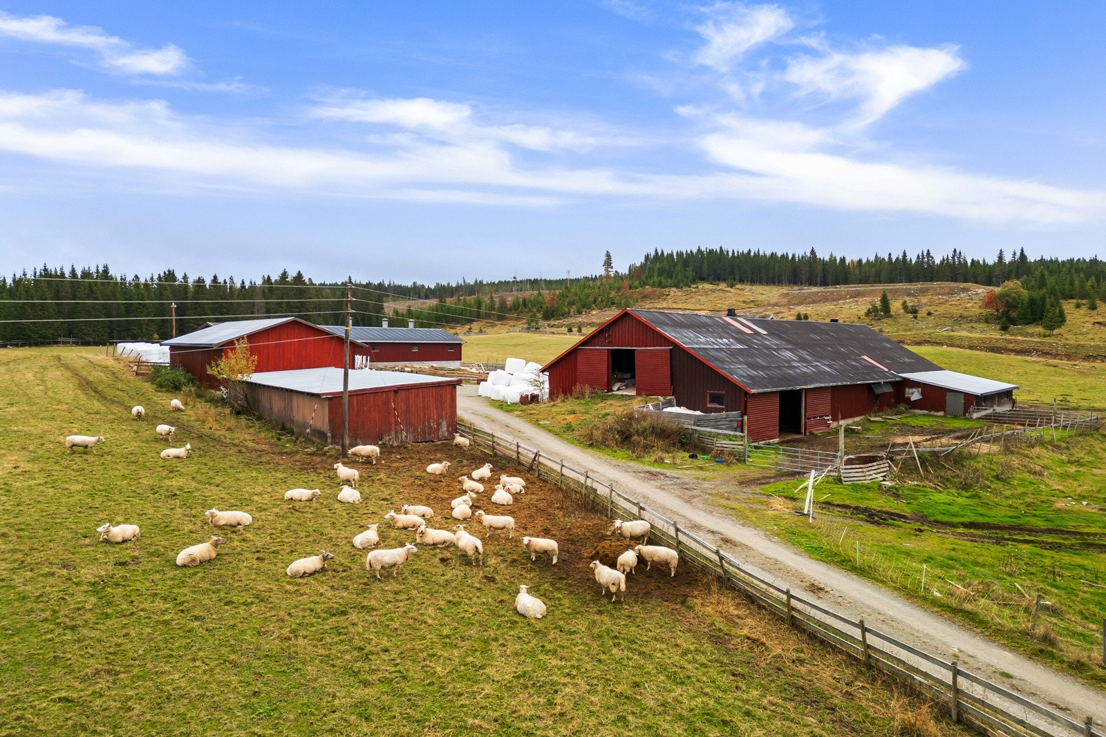 DJI_0312 Galleribilde