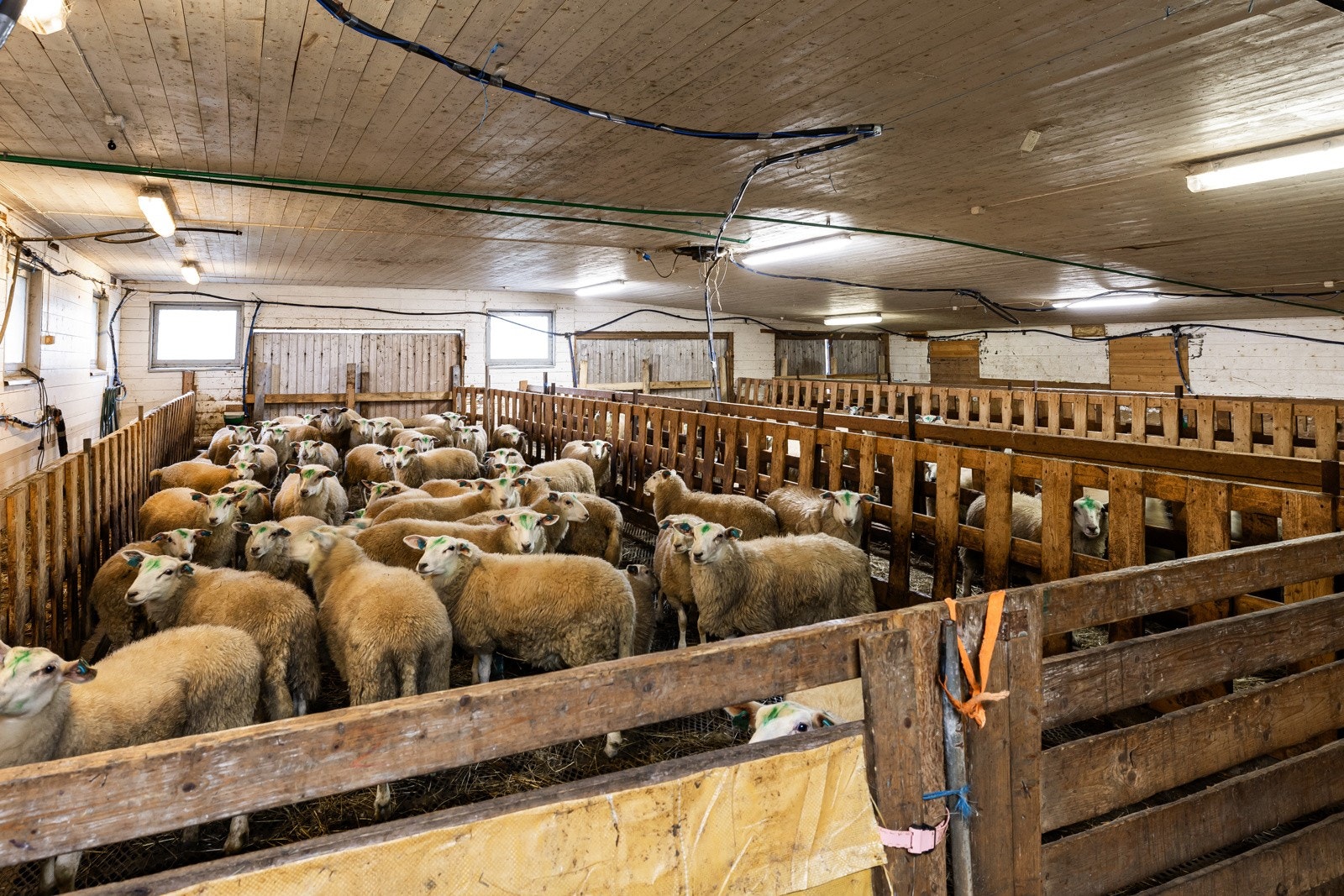 Q20A2827 Galleribilde