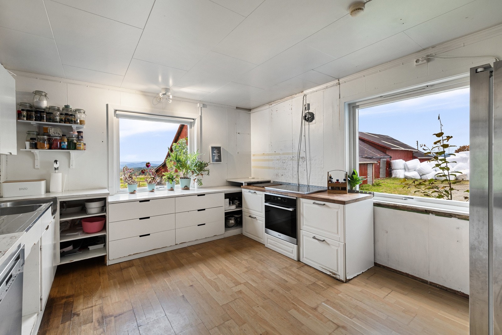 Q20A2902 Galleribilde