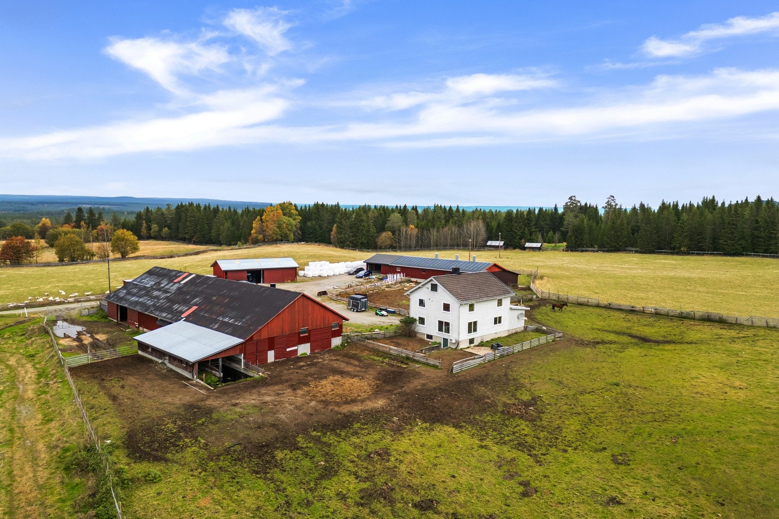 DJI_0313 Galleribilde