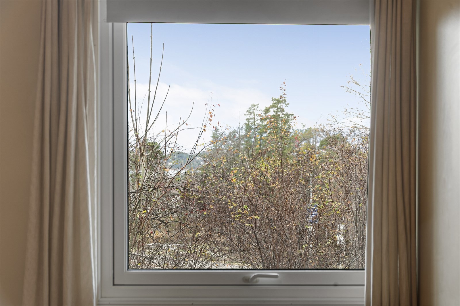 Hyggelig utsyn. Galleribilde