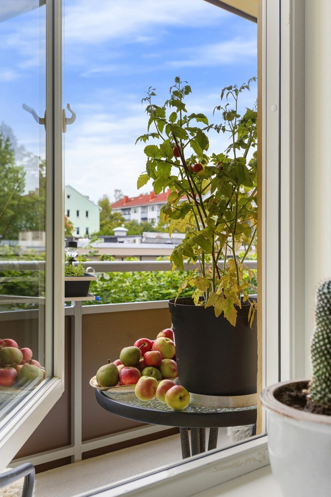 905_3df300b9-e8be-42b7-8be8-251aaa6ccf04.jpg Galleribilde