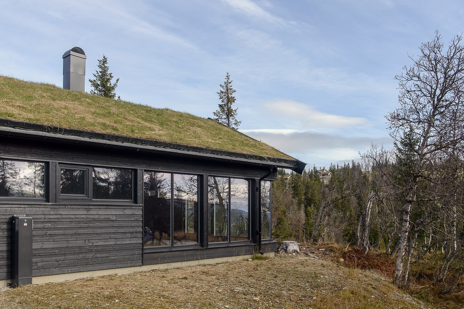 Det er forholdsvis flatt/lett skrånende terreng rundt hytta. Fin intern plassering i ytterkanten av feltet i rolige omgivelser. Galleribilde