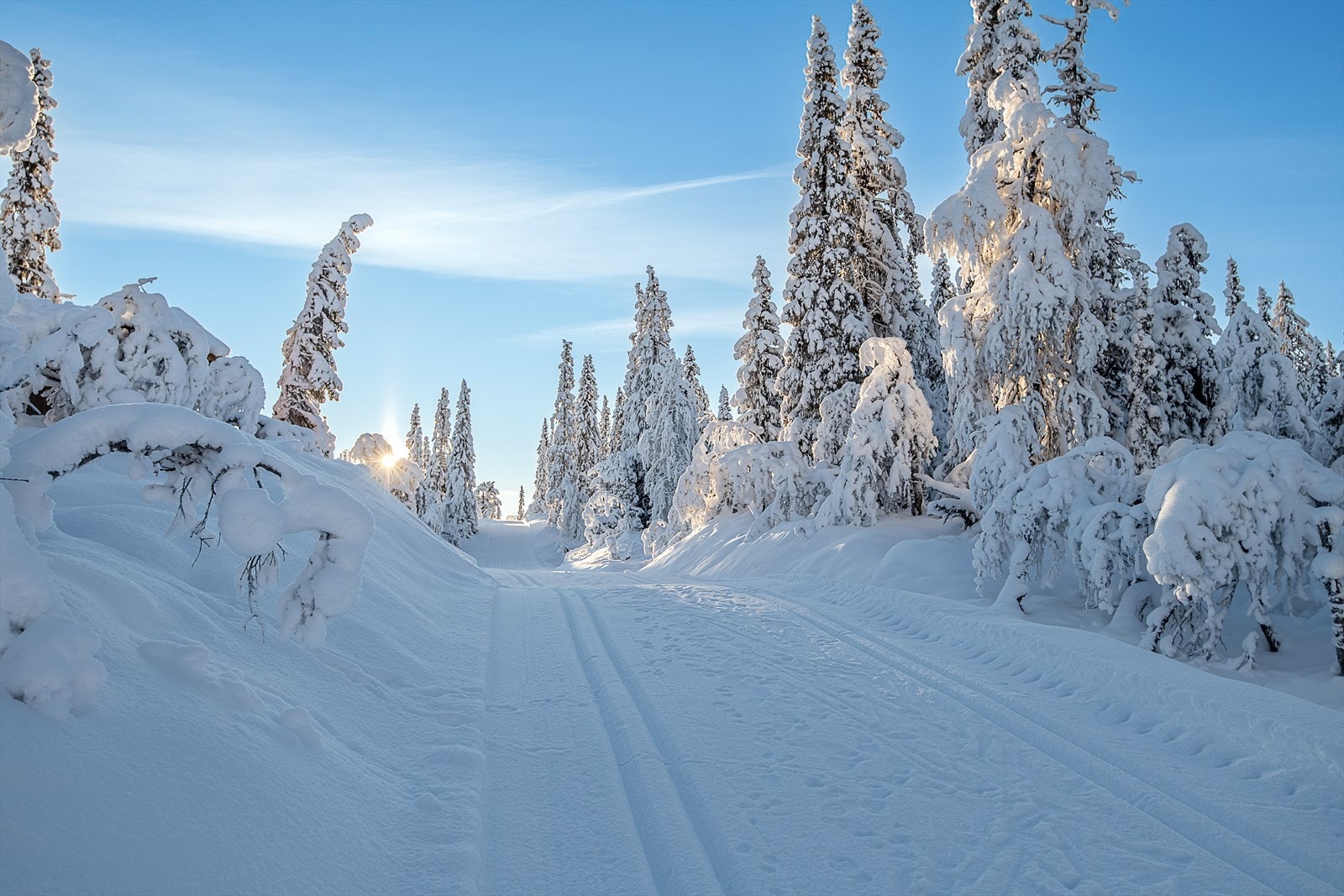 Vinteren står for døra! Fra denne hytta kan du spenne på det skia rett utenfor døra. Perfekt for den turglade. I tillegg har du tilgang til ett av landes flotteste alpinanlegg. Galleribilde