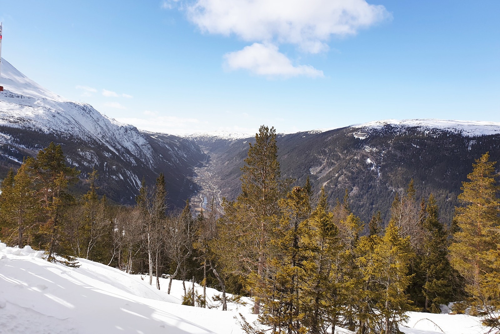 Selgers private bilde Galleribilde