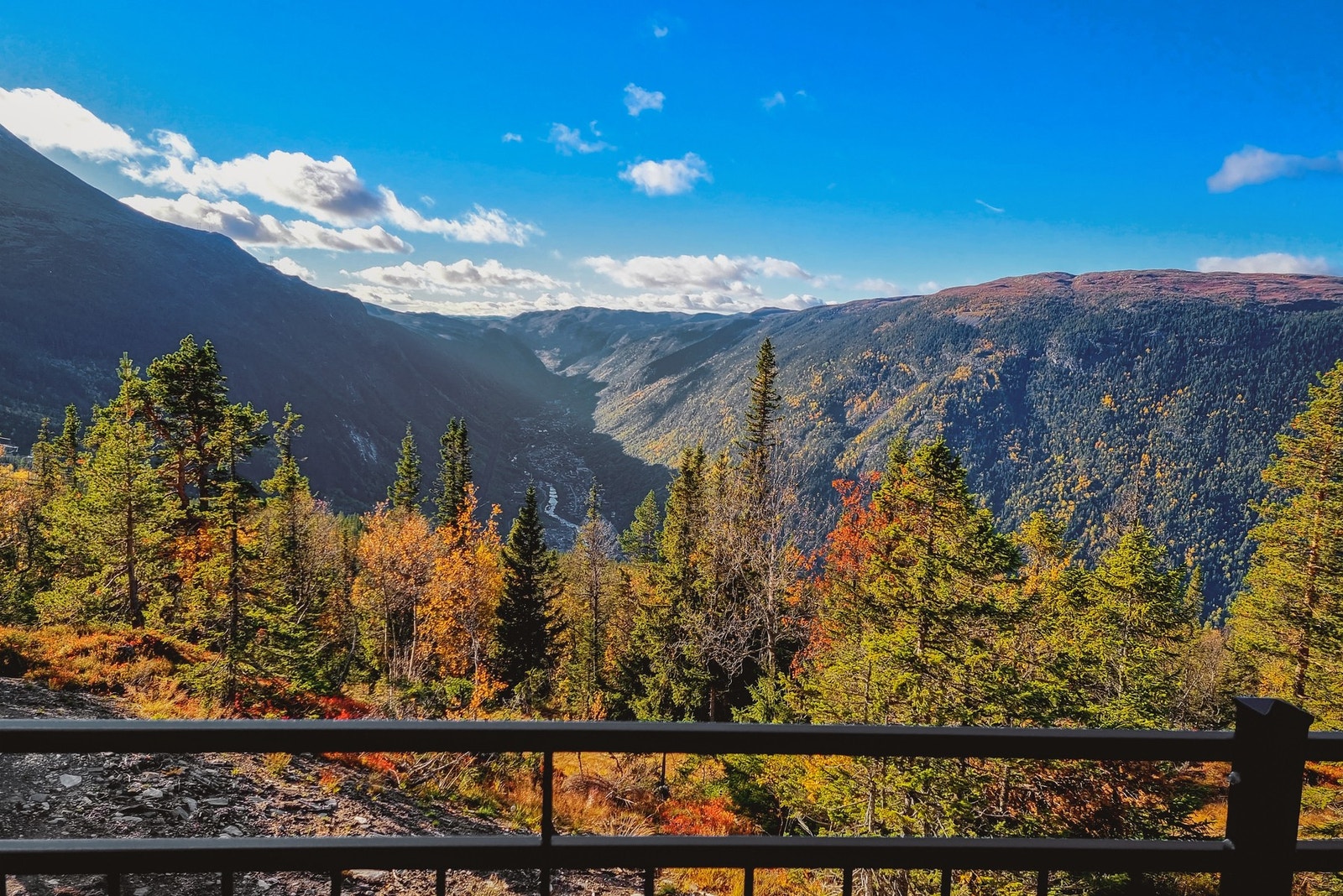 Selgers private bilde Galleribilde