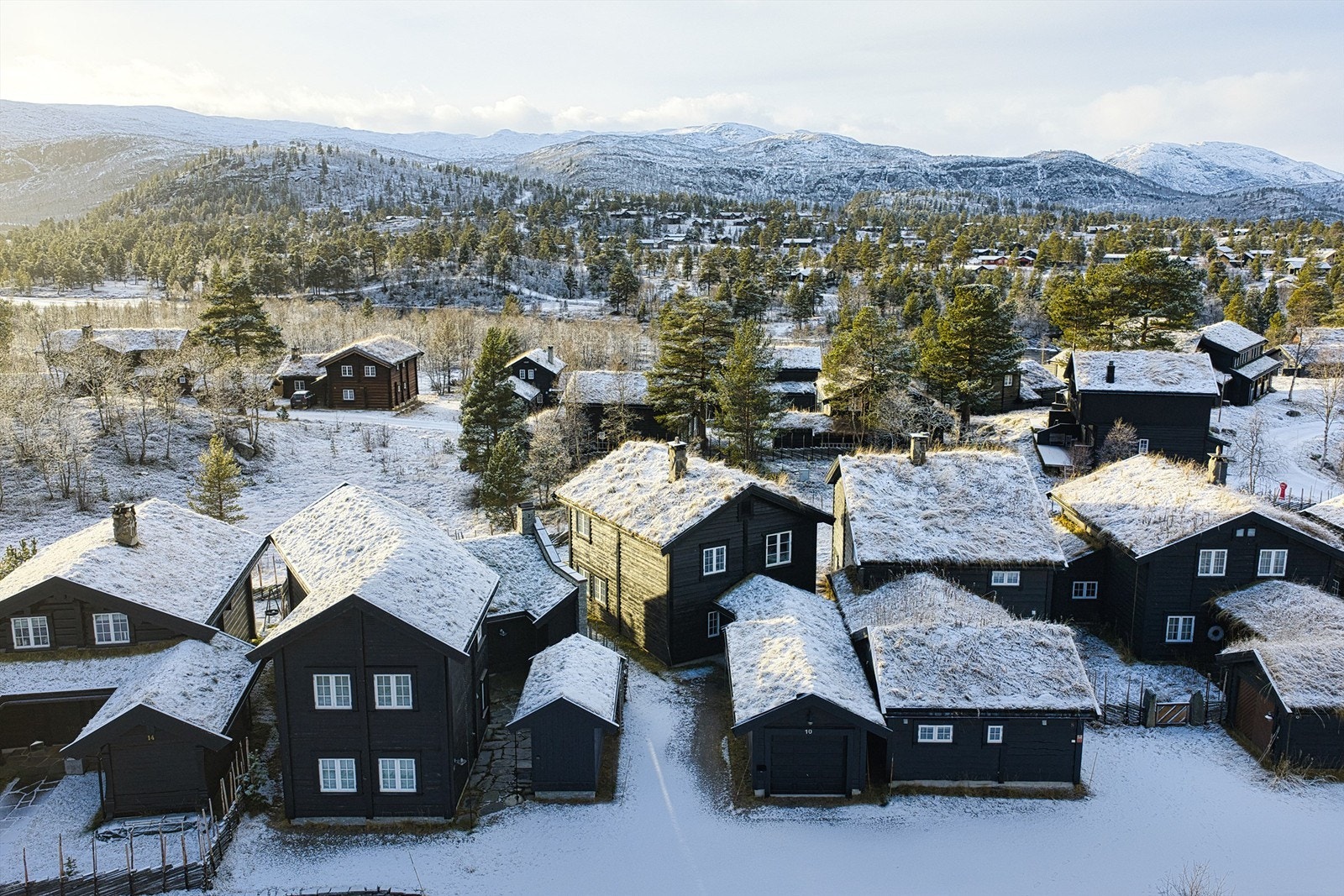 - Velkommen til Bestestøylen 10 - Galleribilde