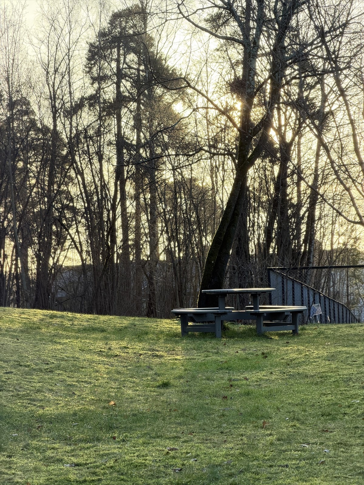 Grønt fellesareal med sittebenker, Galleribilde