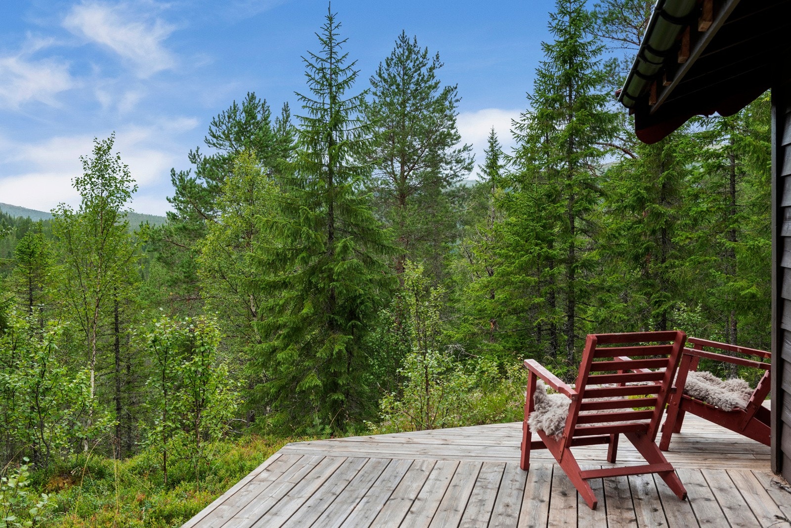 Terrasse Galleribilde