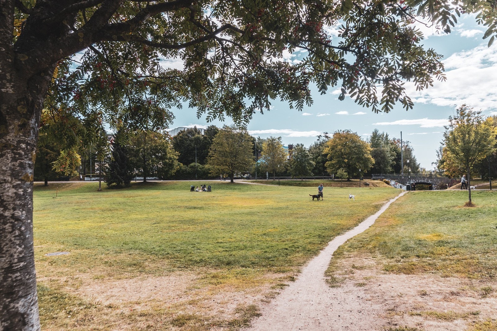 Flere parker i nærområdet. Galleribilde
