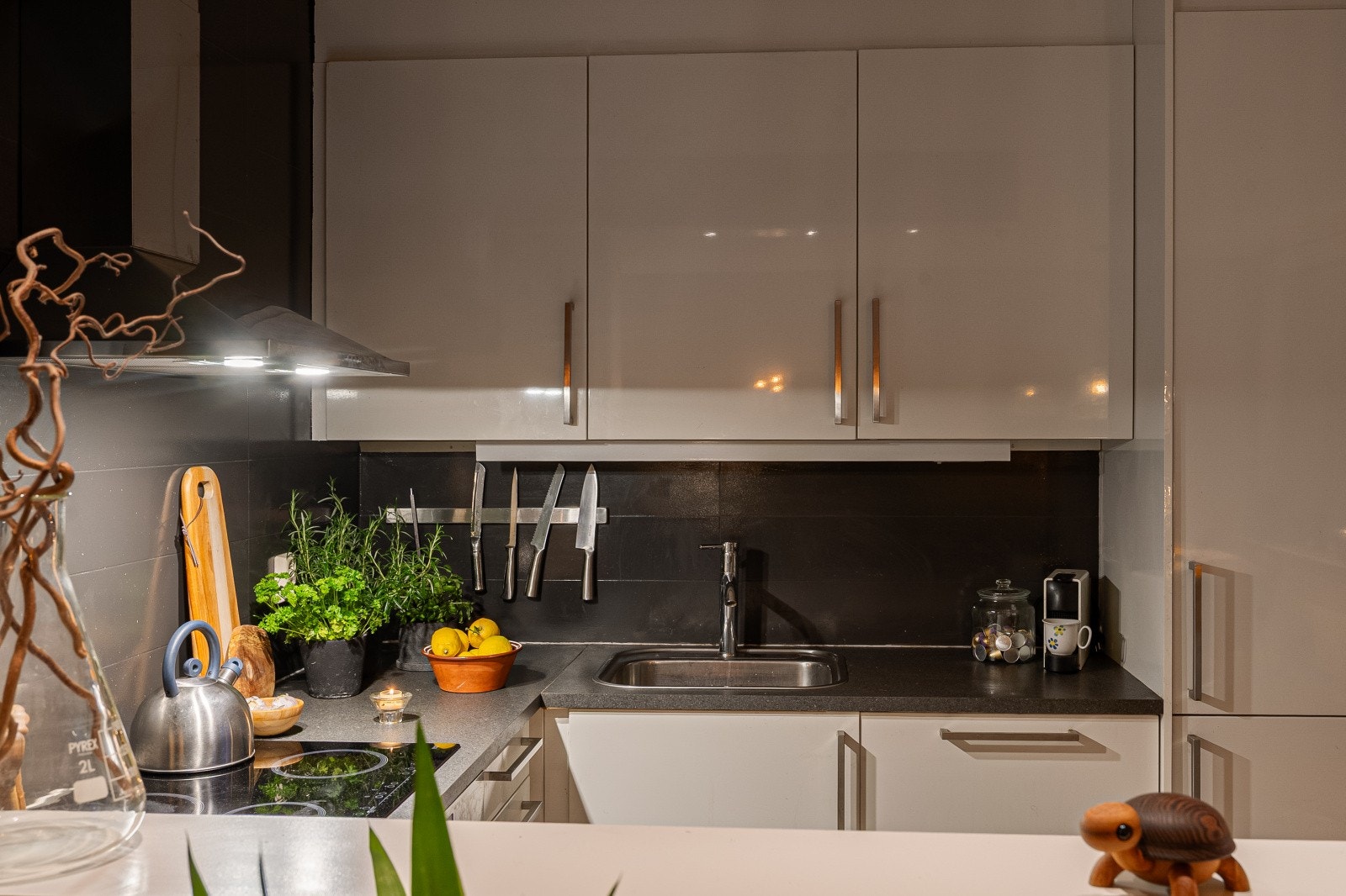 Rommet er utstyrt med en oppvaskkum i stål og en avtrekksvifte med kullfilter fra 2023. Galleribilde