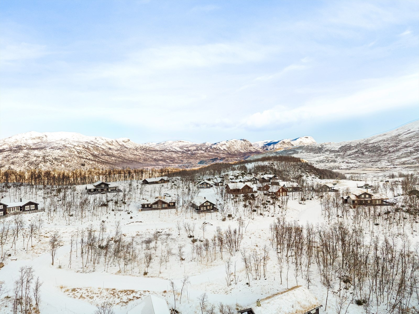 Velkomen til visning! Galleribilde