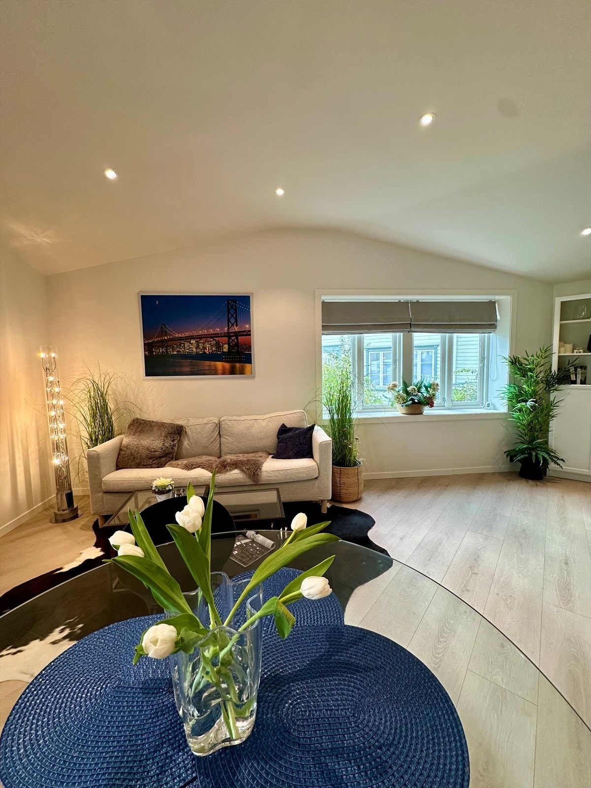 Stue2 (Tatt av selger) Galleribilde