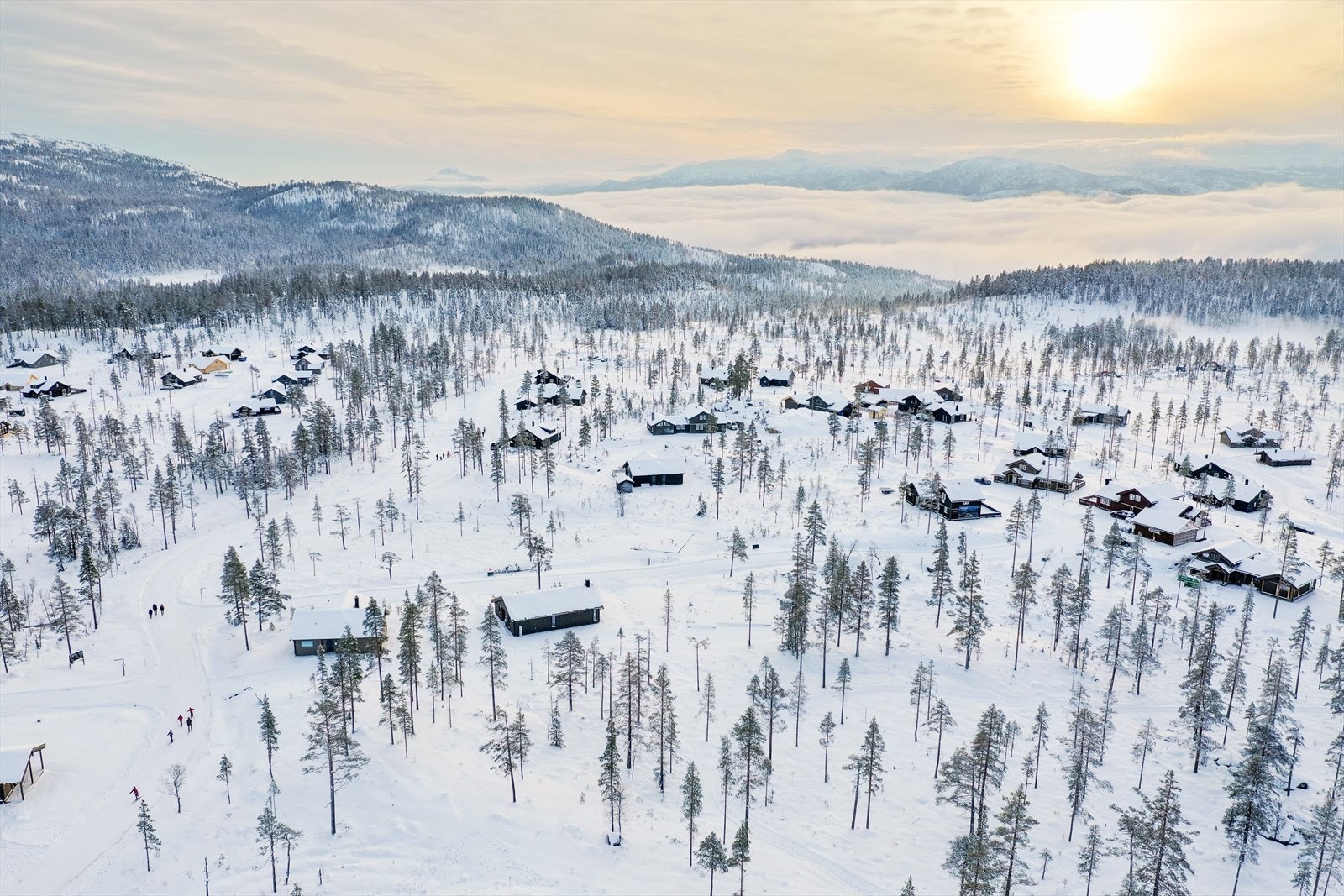 Turufjell Galleribilde