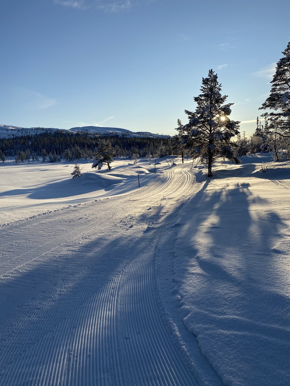 Eventyrløypa Galleribilde