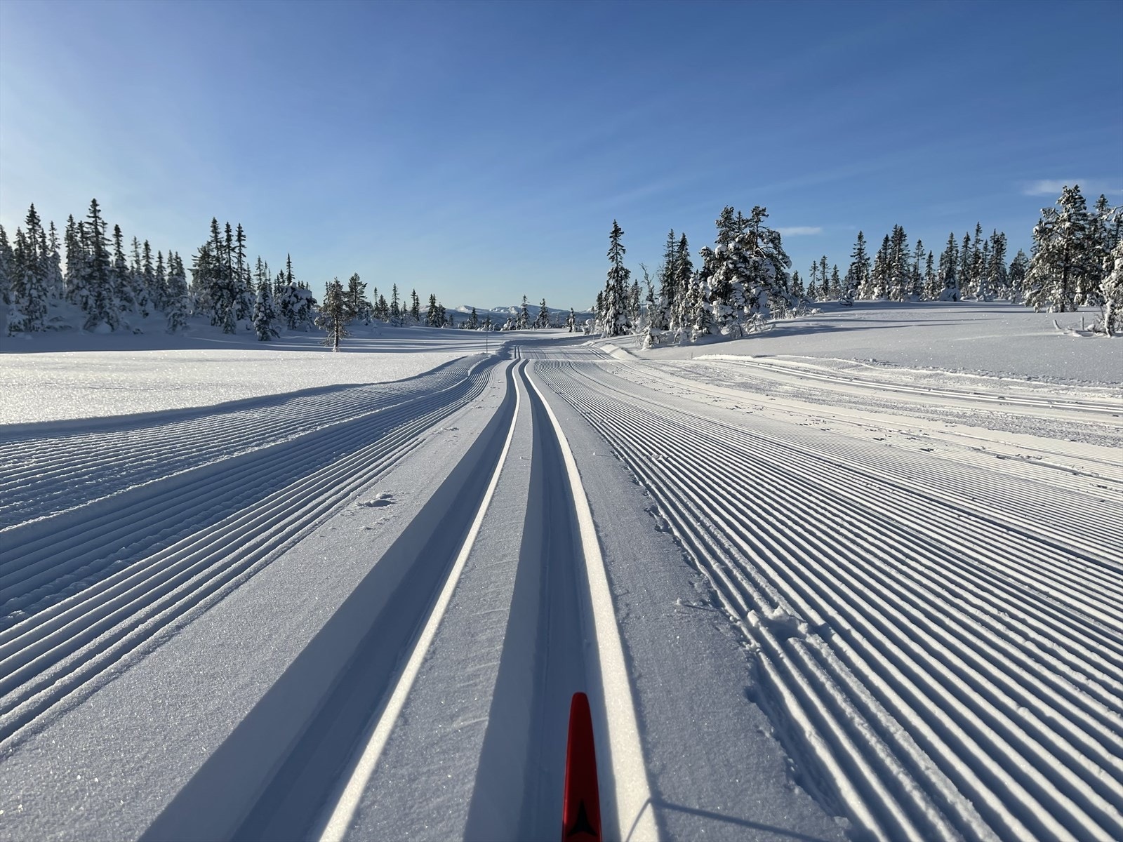 Preparert tilførselsløype ca. 150m fra hytta, i samme løypenett som Turufjell Galleribilde