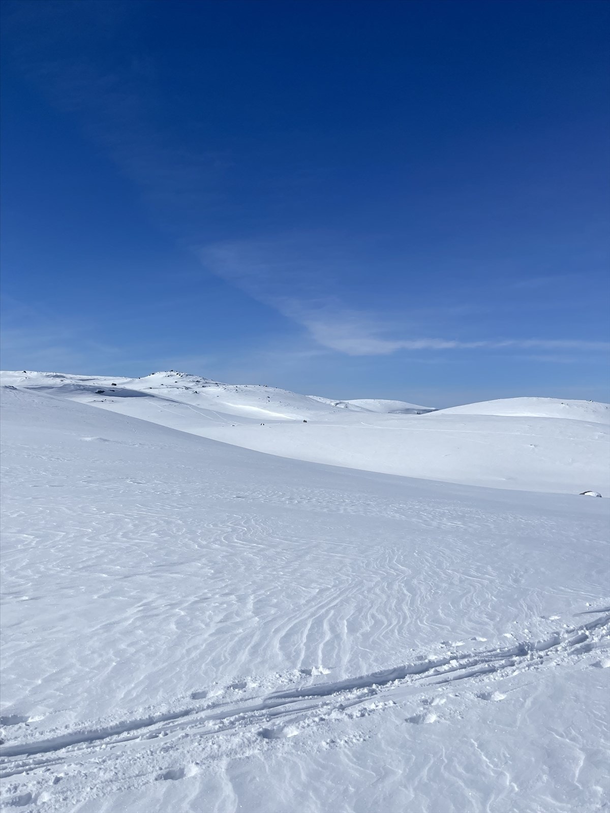 Skiløype opp til vidda på Sørbølfjell er bare 50 meter unna Galleribilde