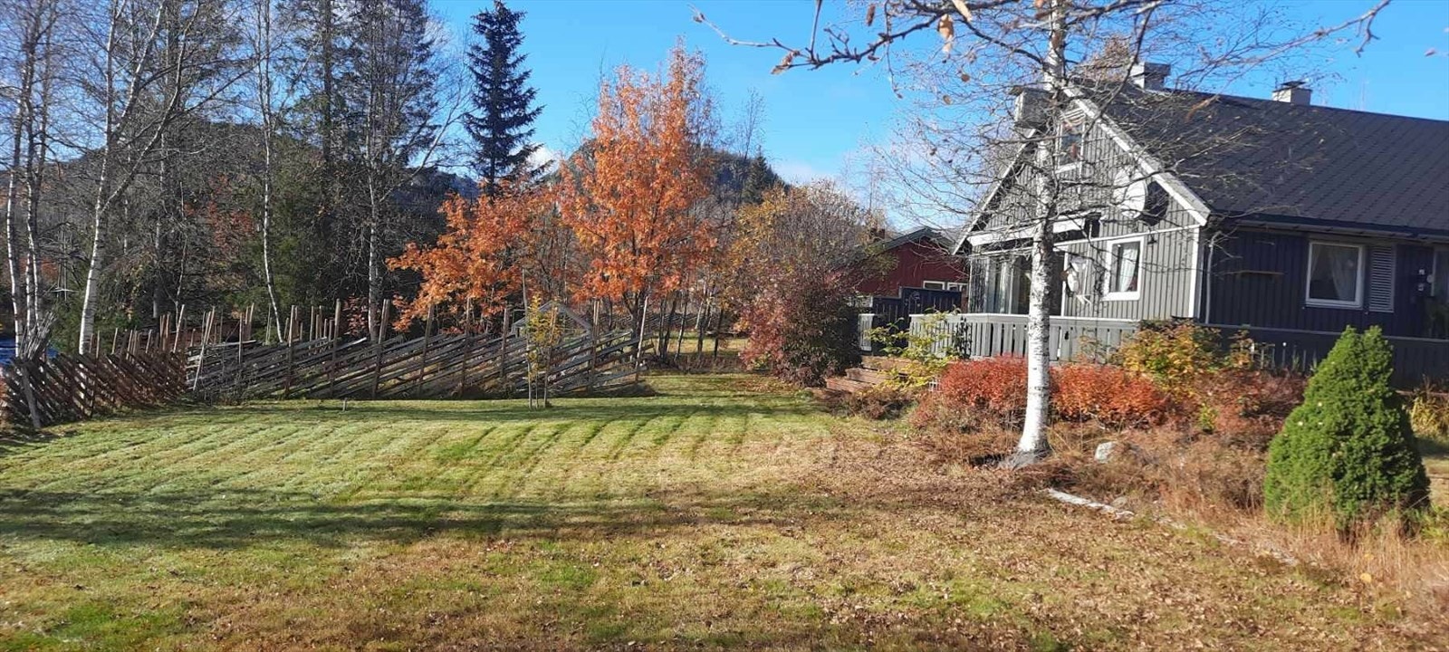 Høststemning. Galleribilde