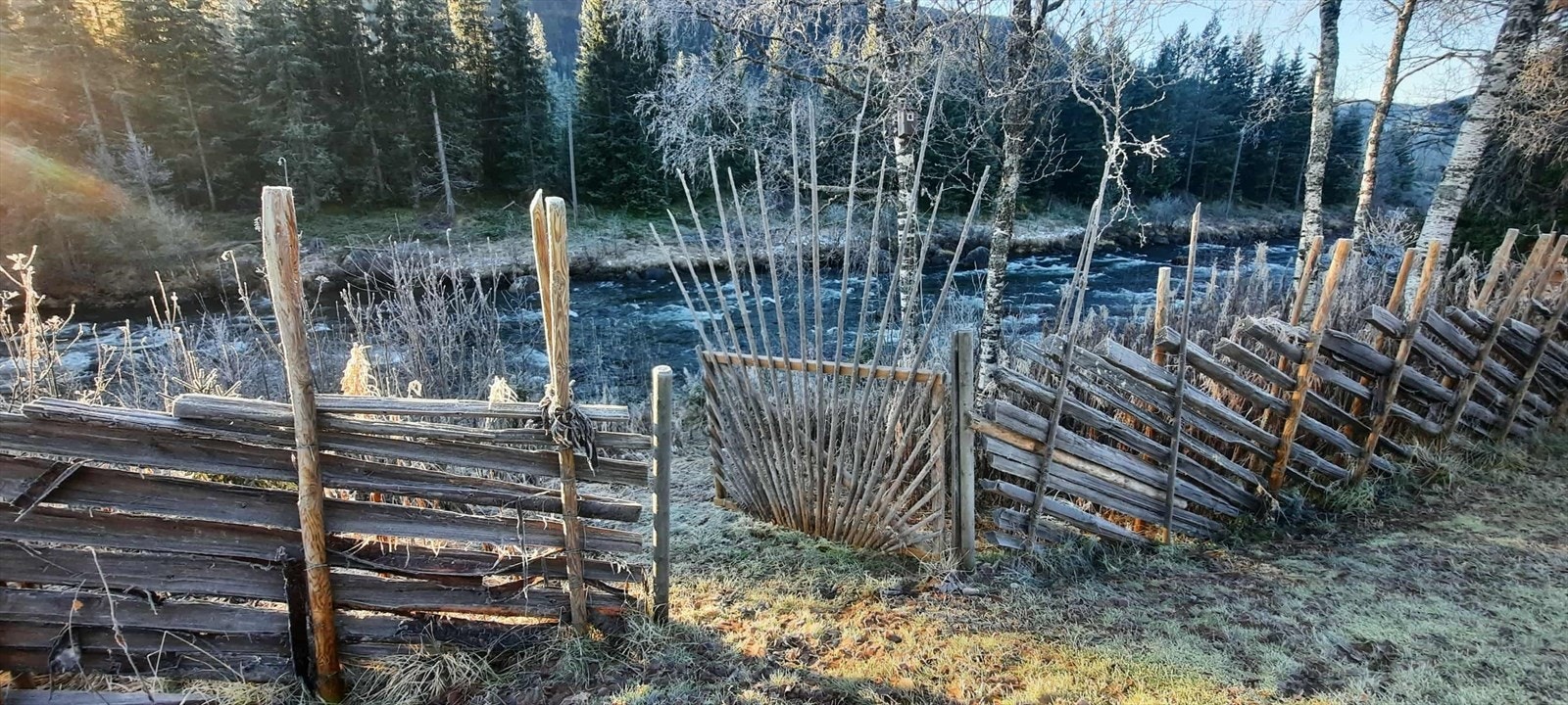 Frosten og vinteren er like om hjørnet og skaper stemningsfulle bilder. Galleribilde