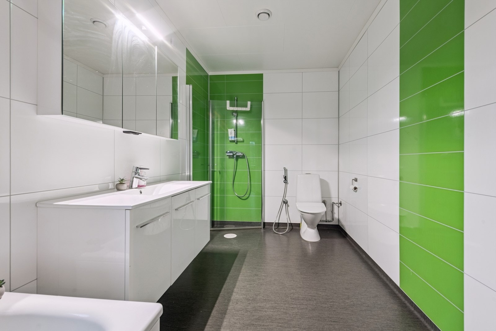 Dusjhjørne med glassdører og mekanisk avtrekk i taket sikrer effektiv ventilasjon. Galleribilde