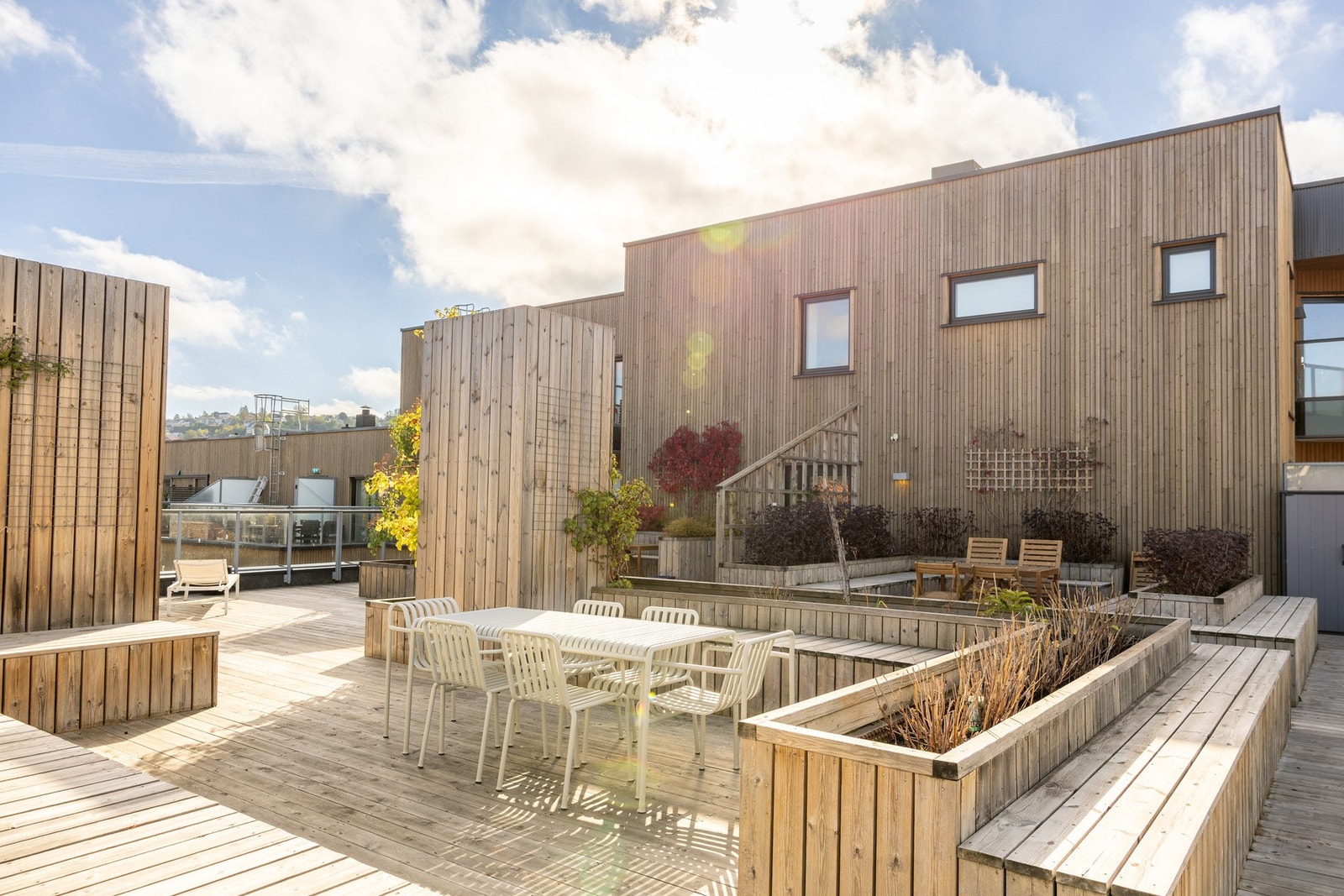 Flere soner med sittegrupper. Galleribilde