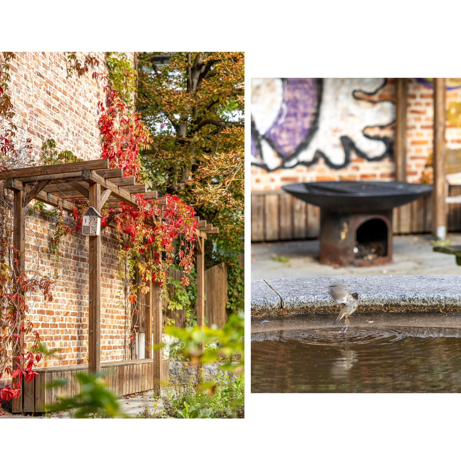 Avlukket bakgård. Galleribilde