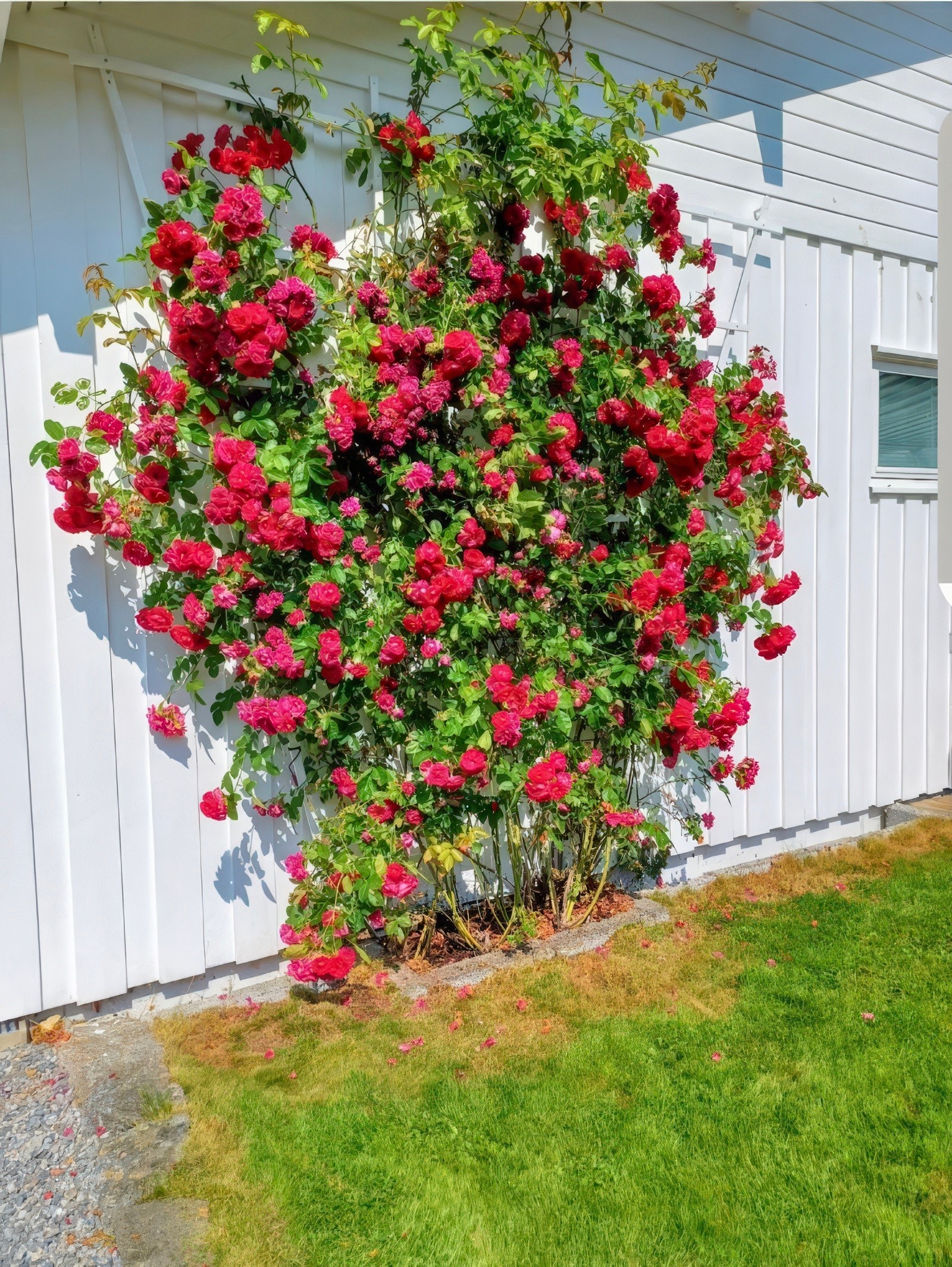 Velkomen til visning! (Bilete frå seljar) Galleribilde